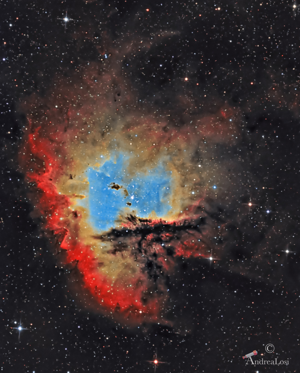 NGC 281