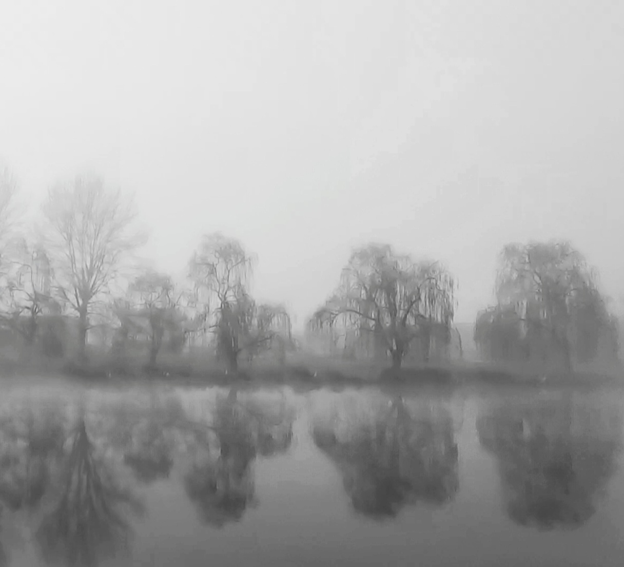 Nebbia