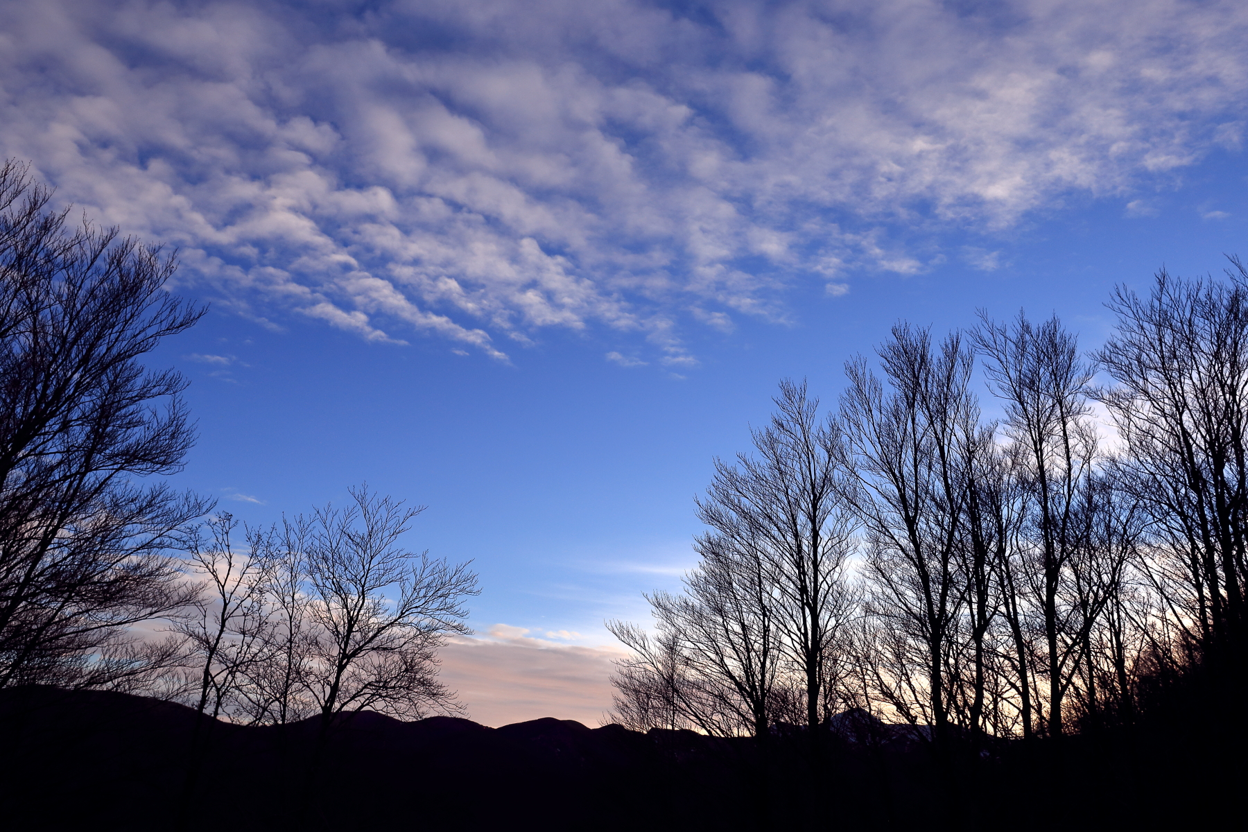 Beech, clouds and ridges