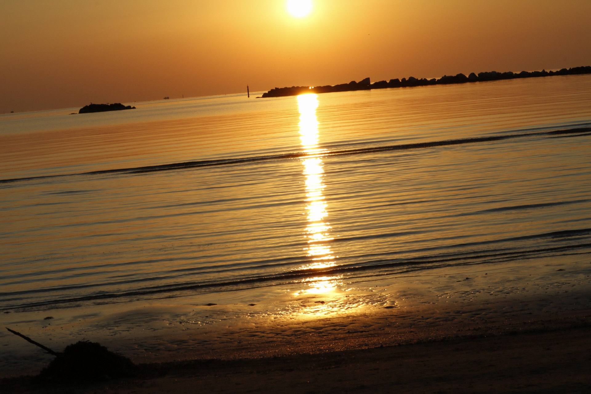 mare