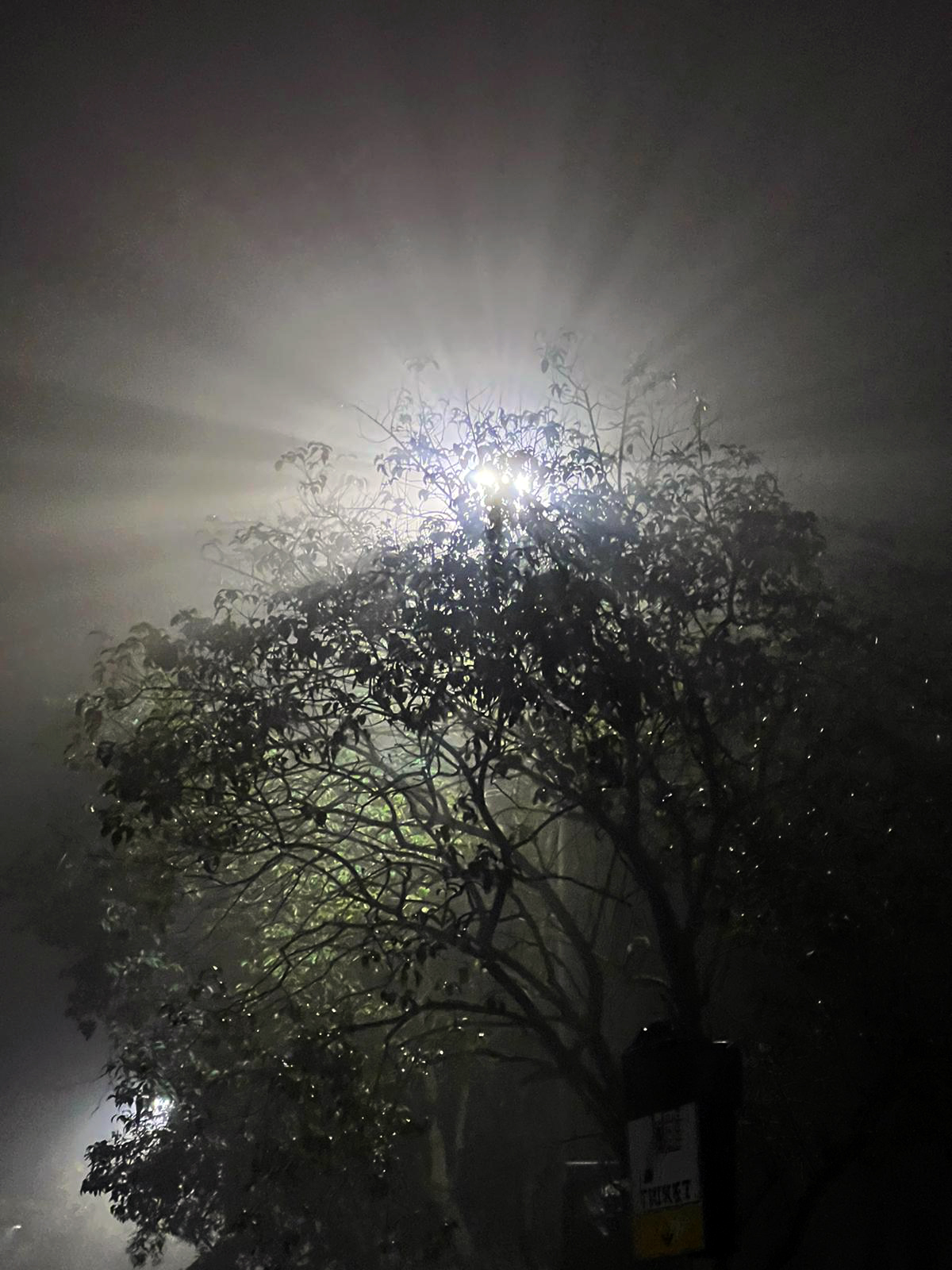 Nebbia Roma 31/12/2021