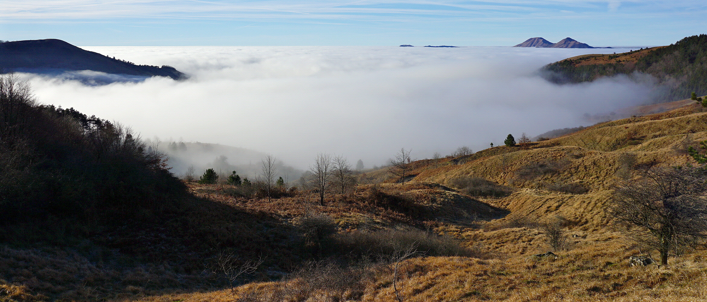 Isole nella nebbia (Passo delle Cento croci)