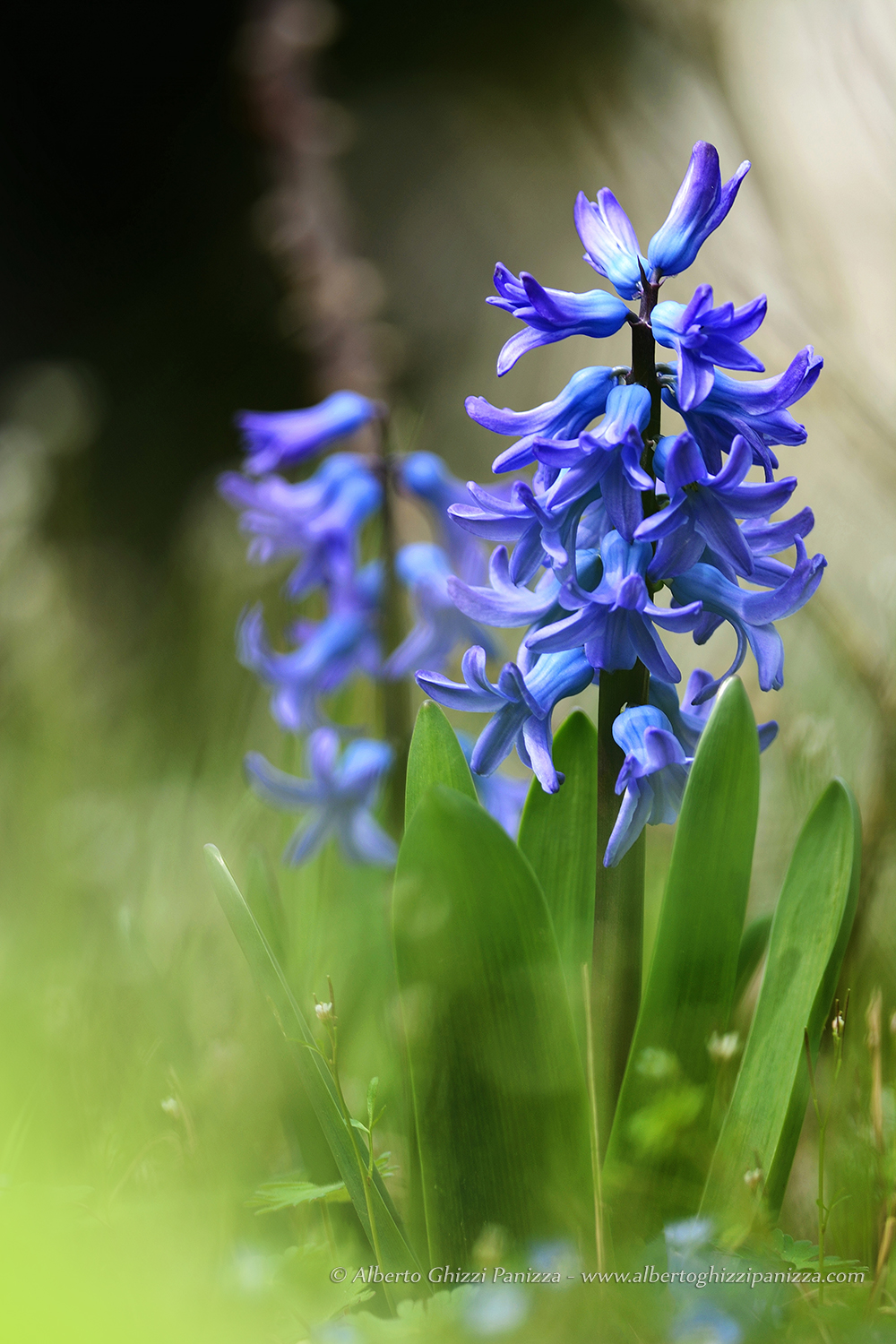 First experiments with the D7100