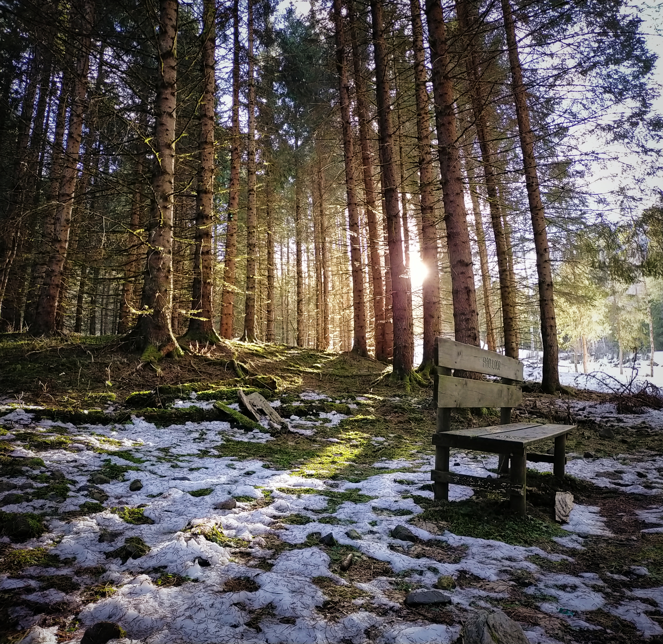 Dove riposare il pensiero