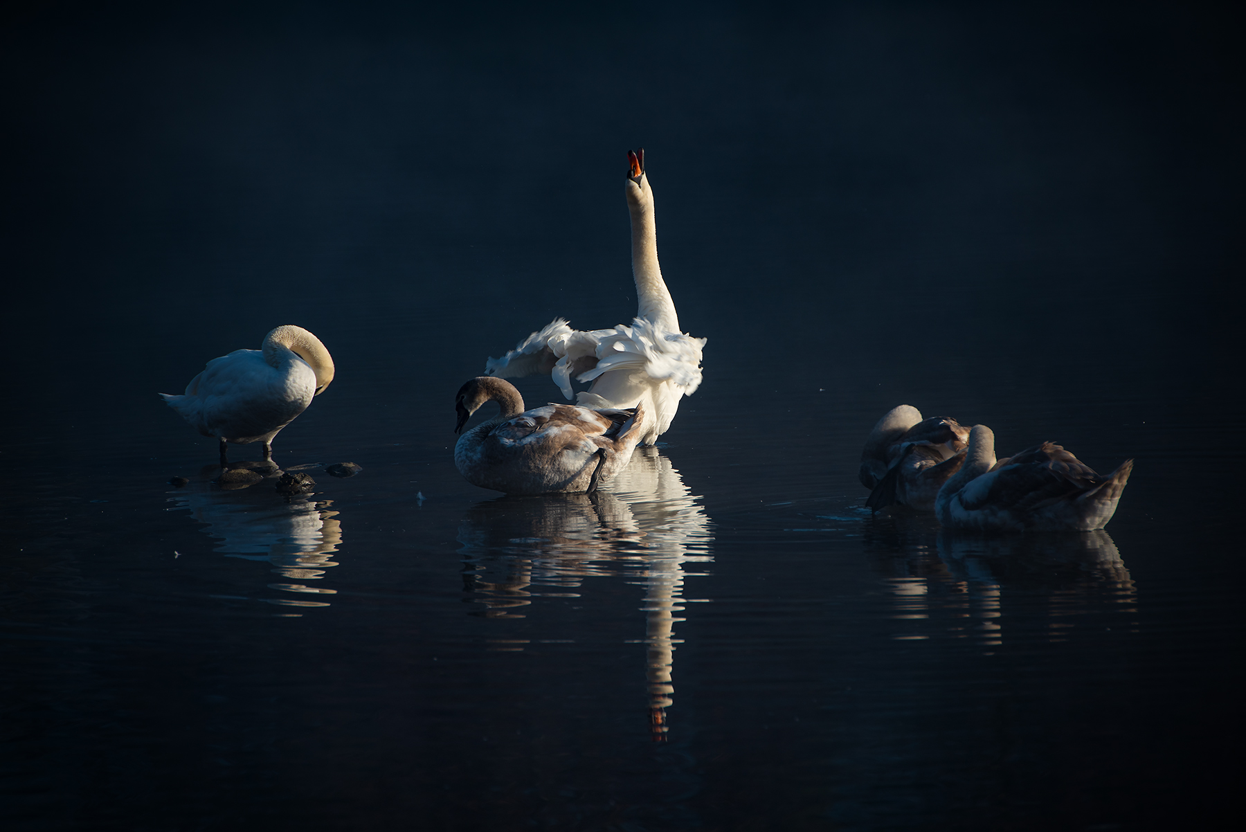 Family singing