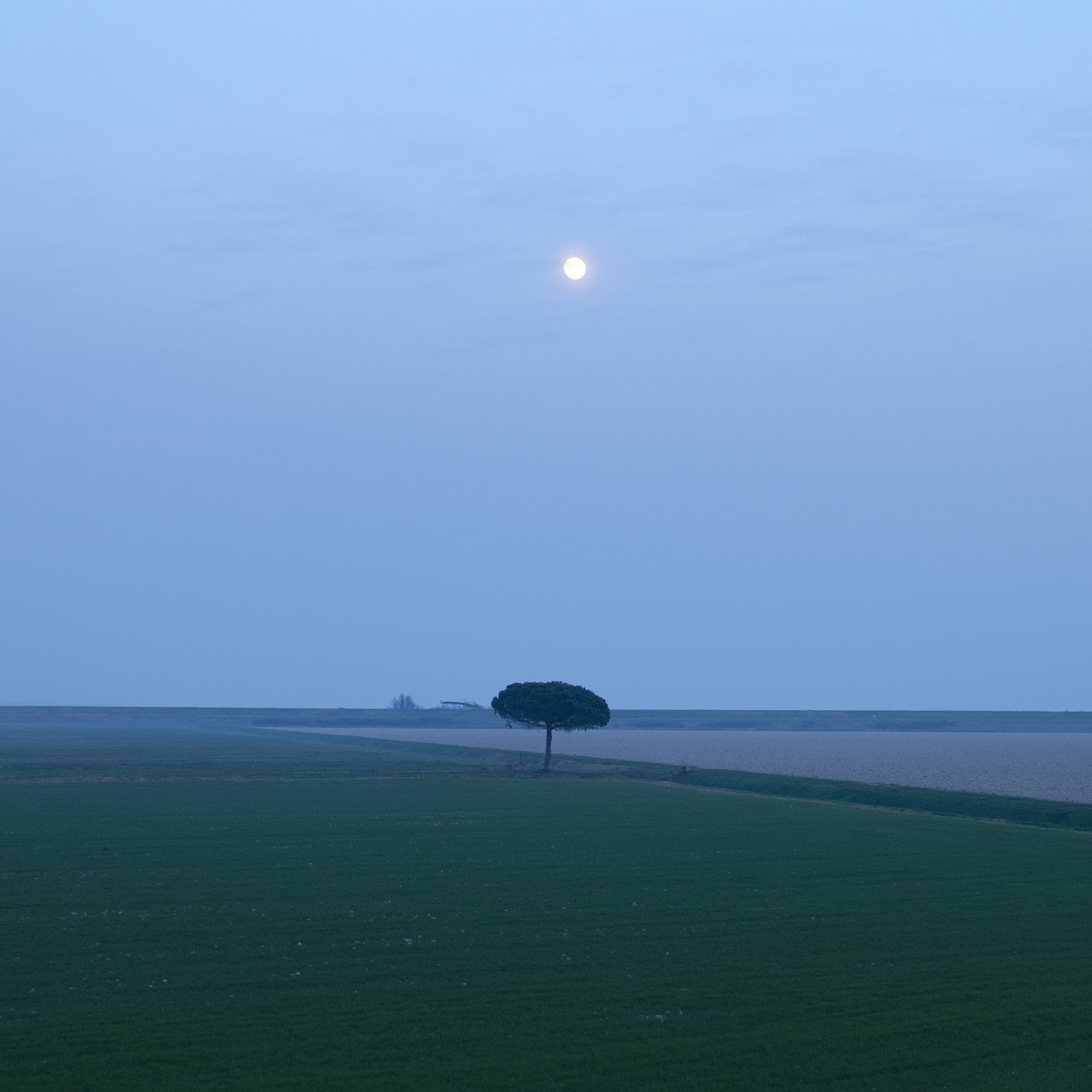 Towards the mouth, 2015