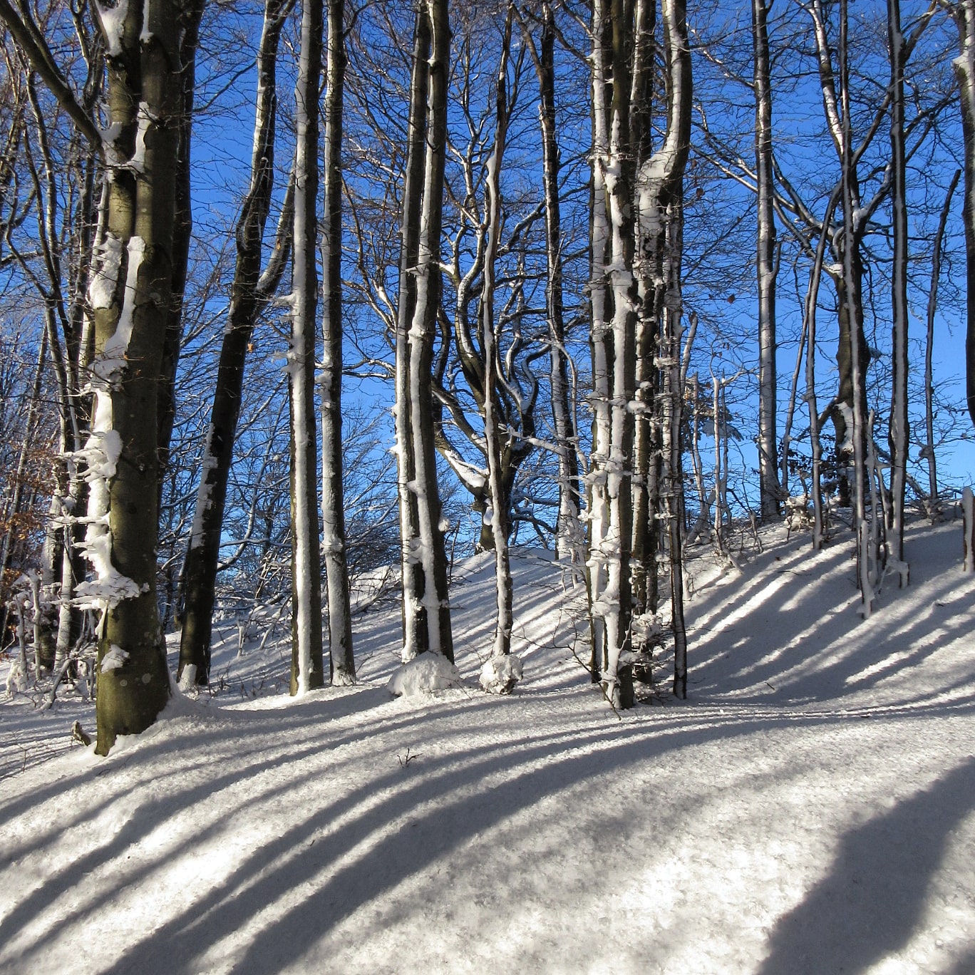 Neve al passo della cisa