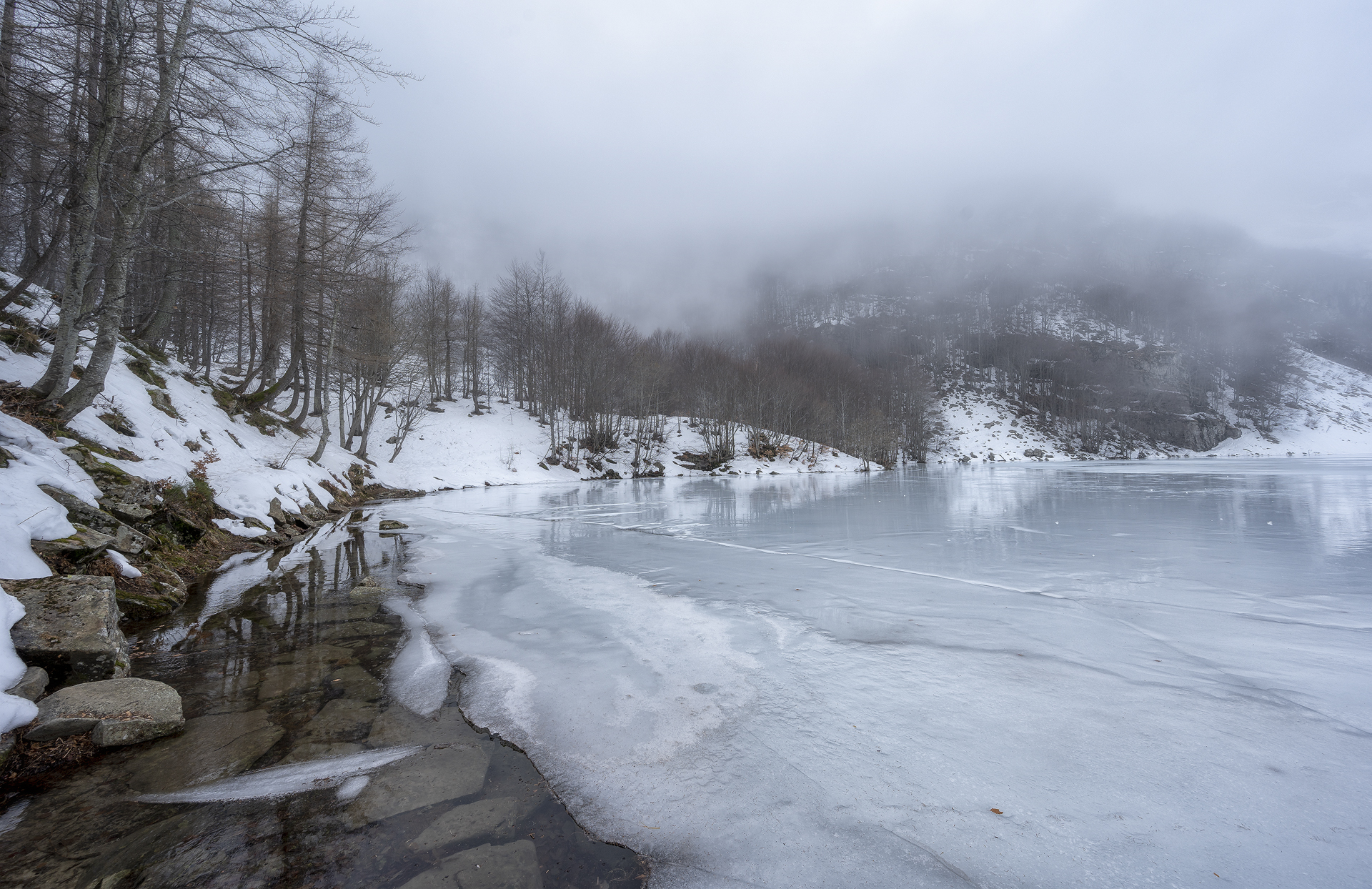 Winter