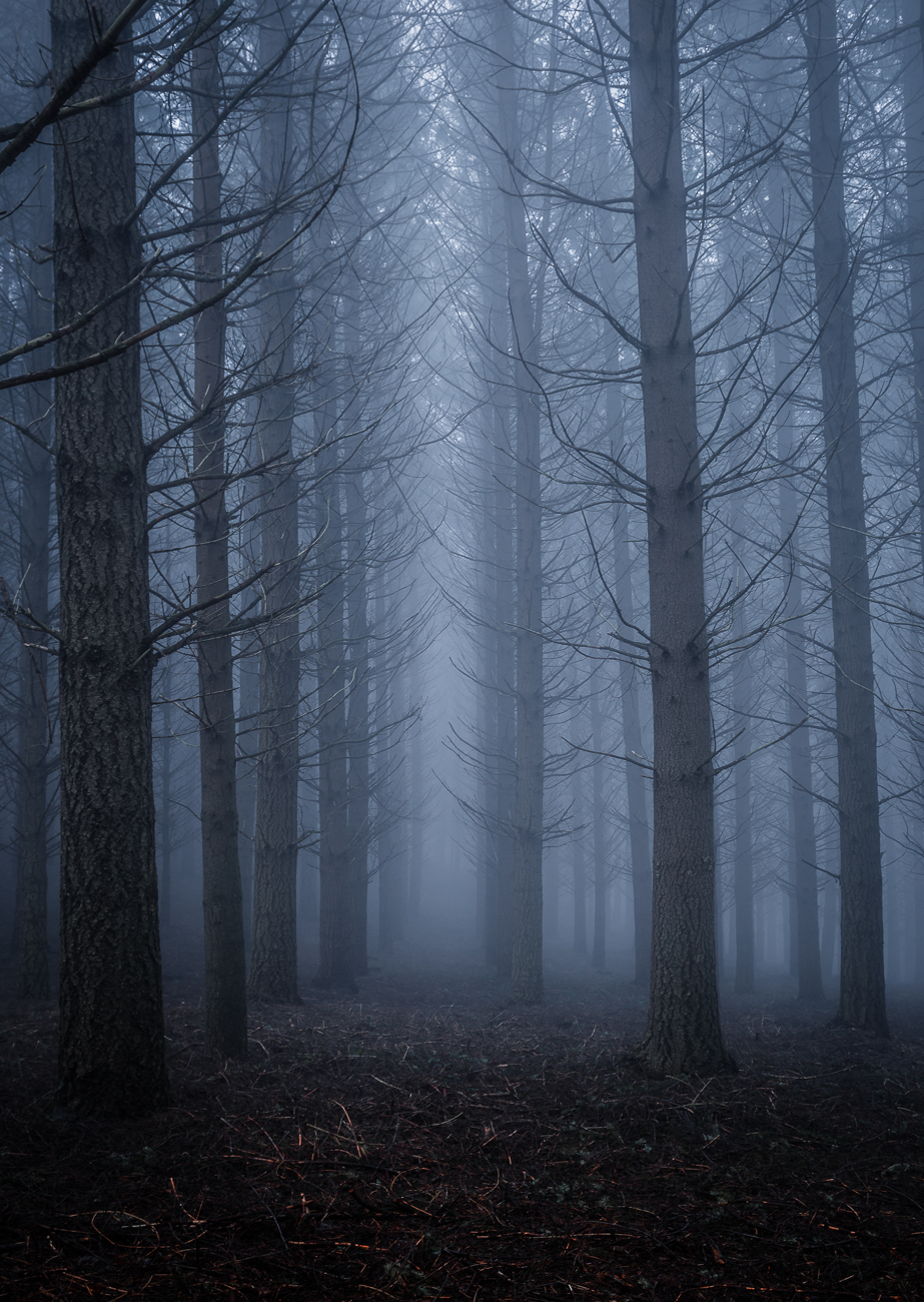 Trees