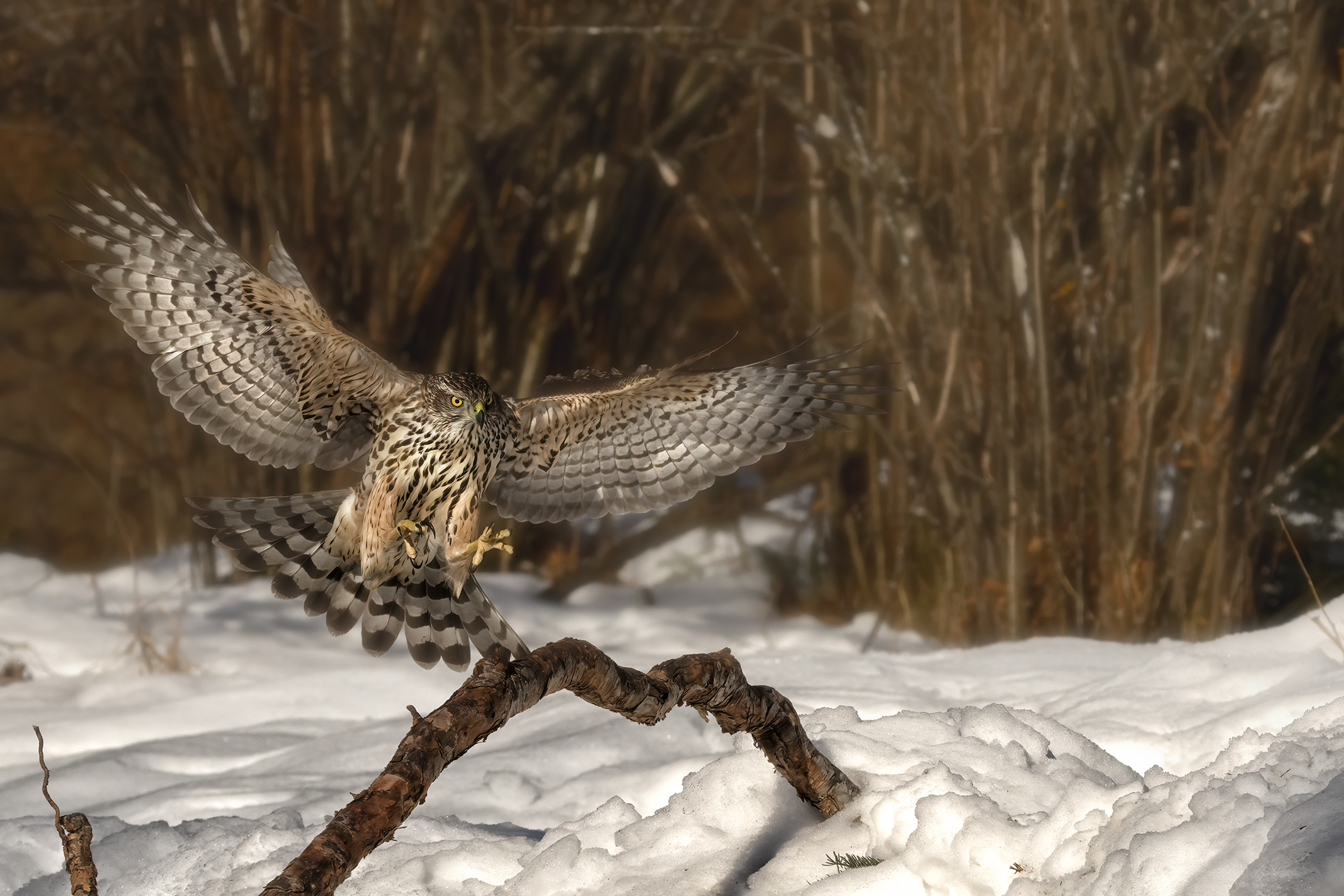 Landing