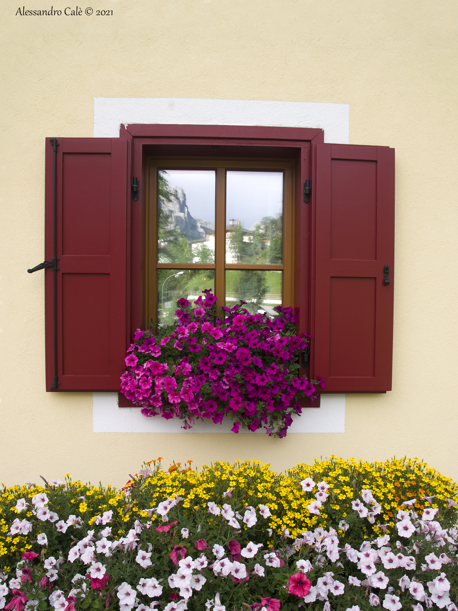 Balcone fiorito 3545