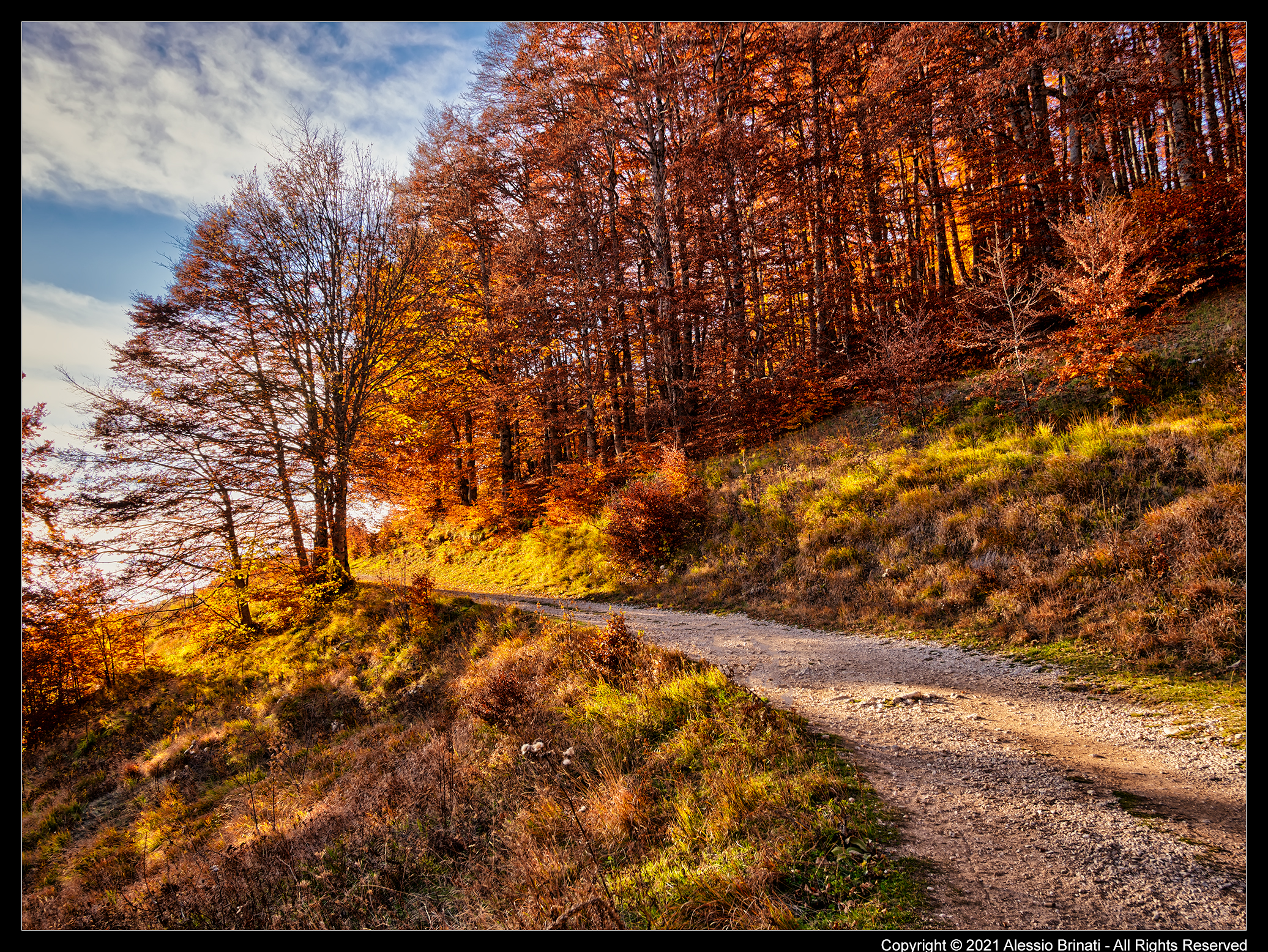 The Colors of Autumn