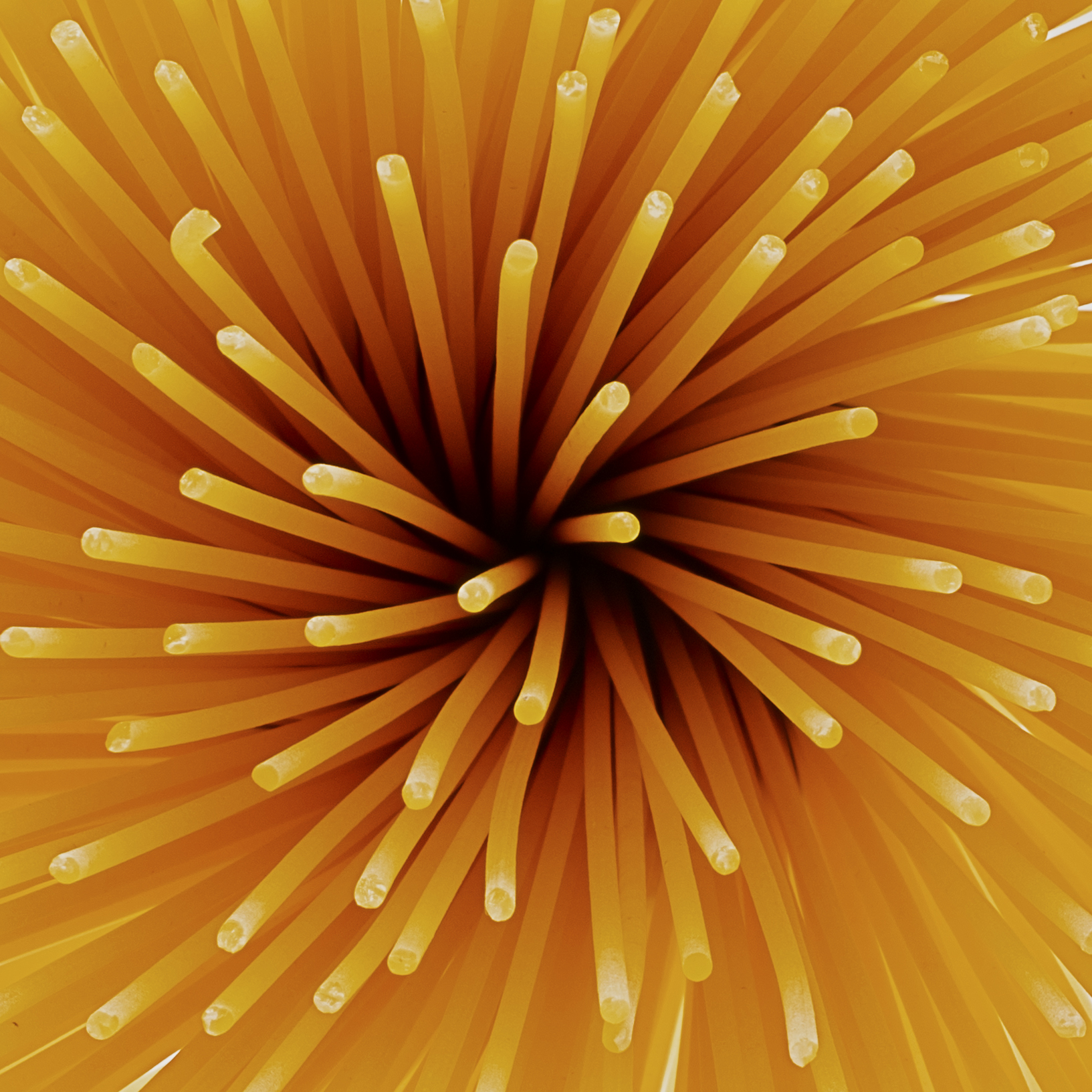 Spaghetti fireworks 1