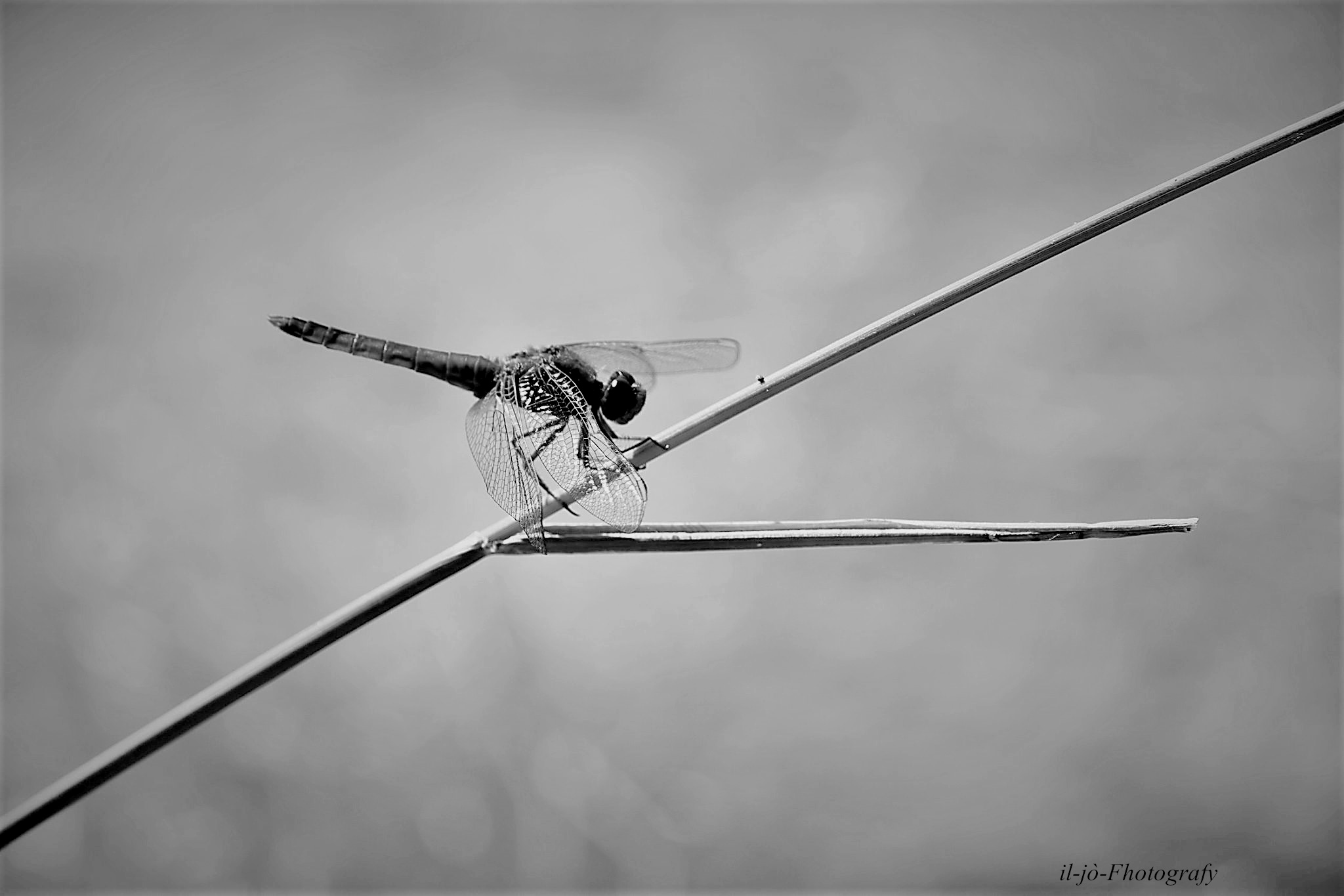 Untitled Photo