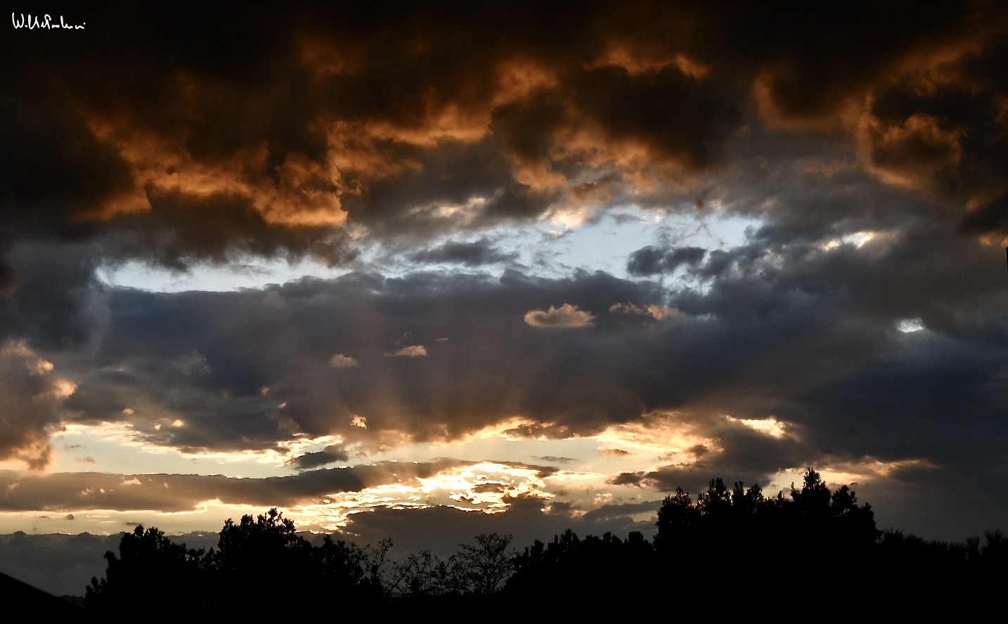 Untitled Photo