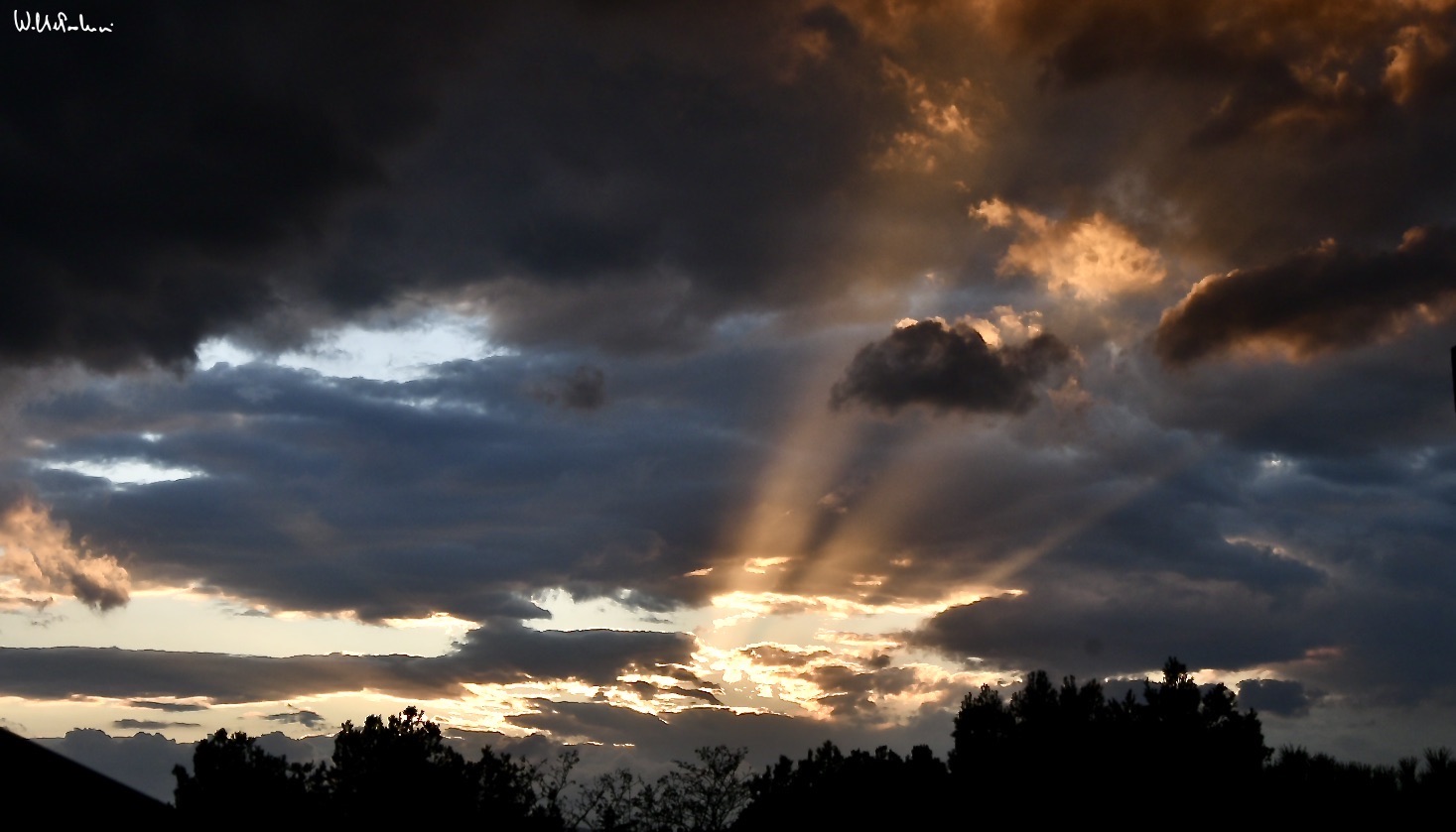 Untitled Photo