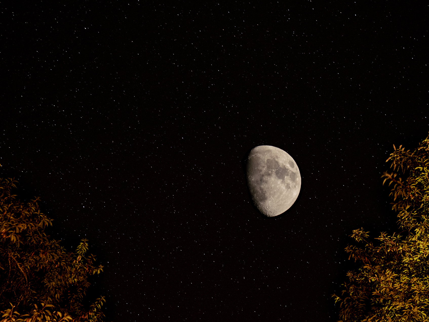 The moon and the stars