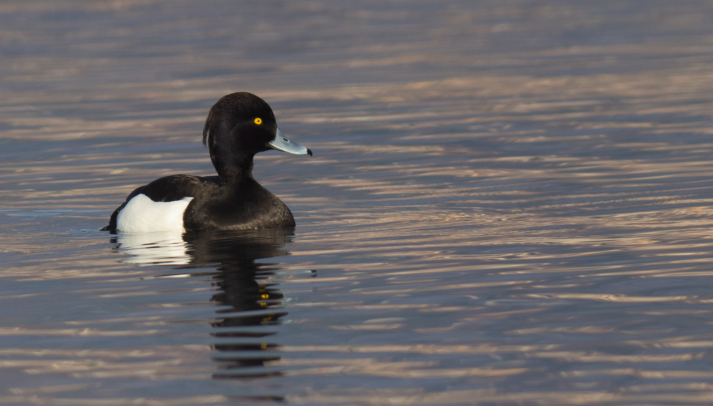 Anche l'occhio vuole la sua parte