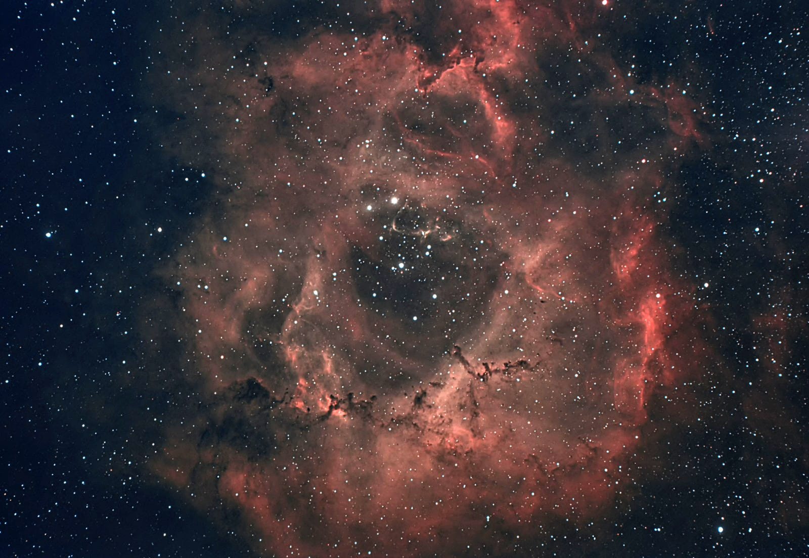 Rosette Nebula