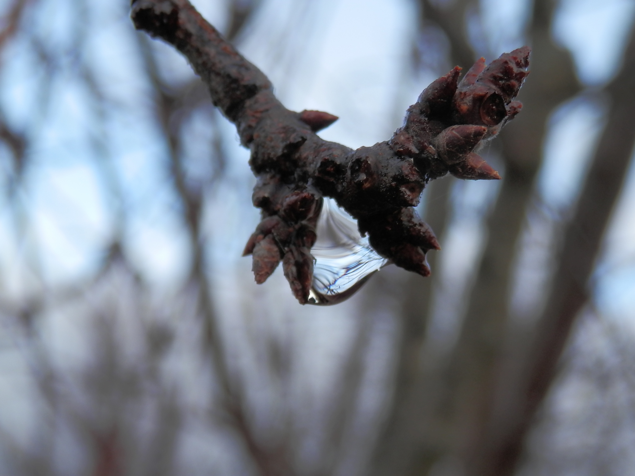 open drop