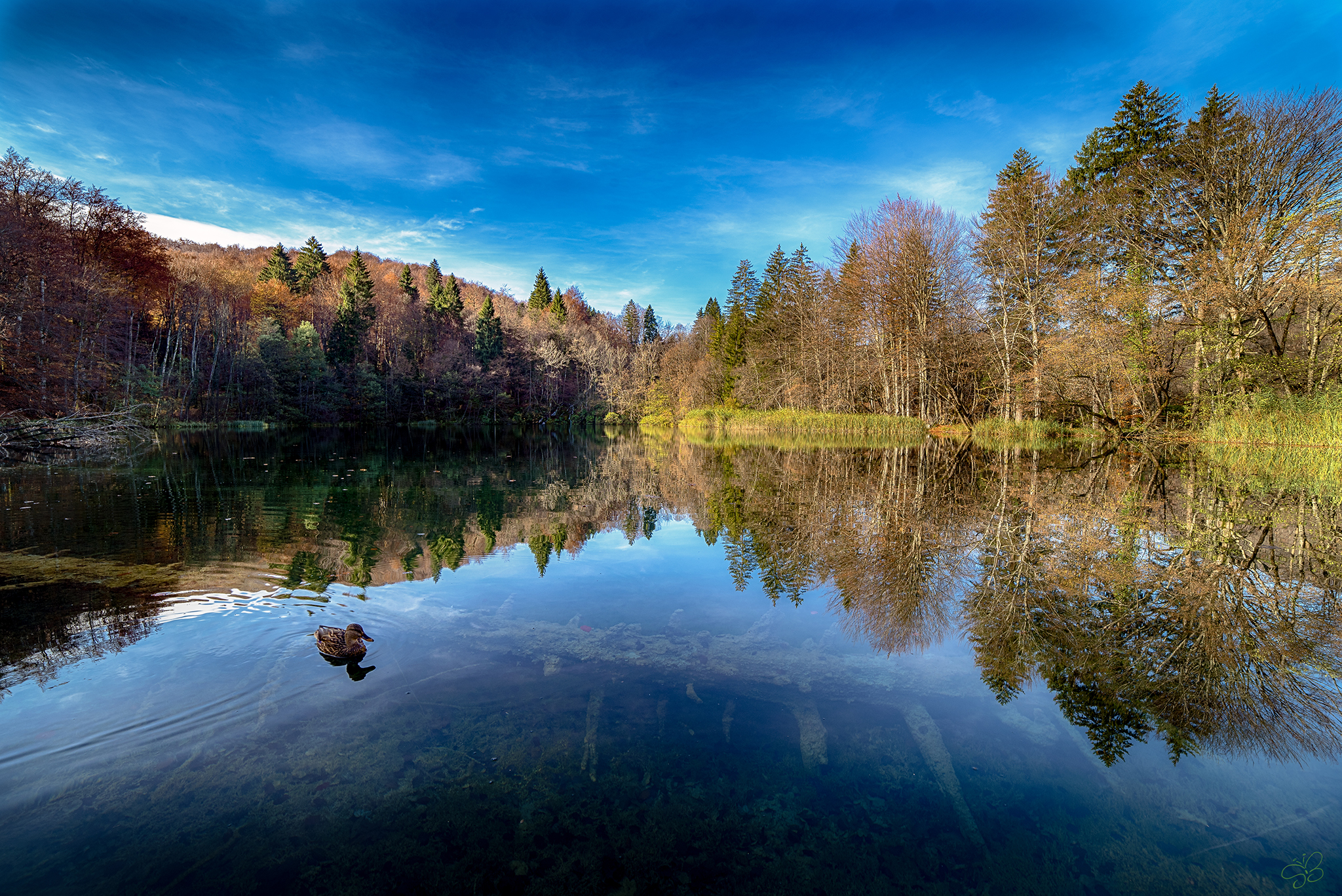 Lago dei riflessi