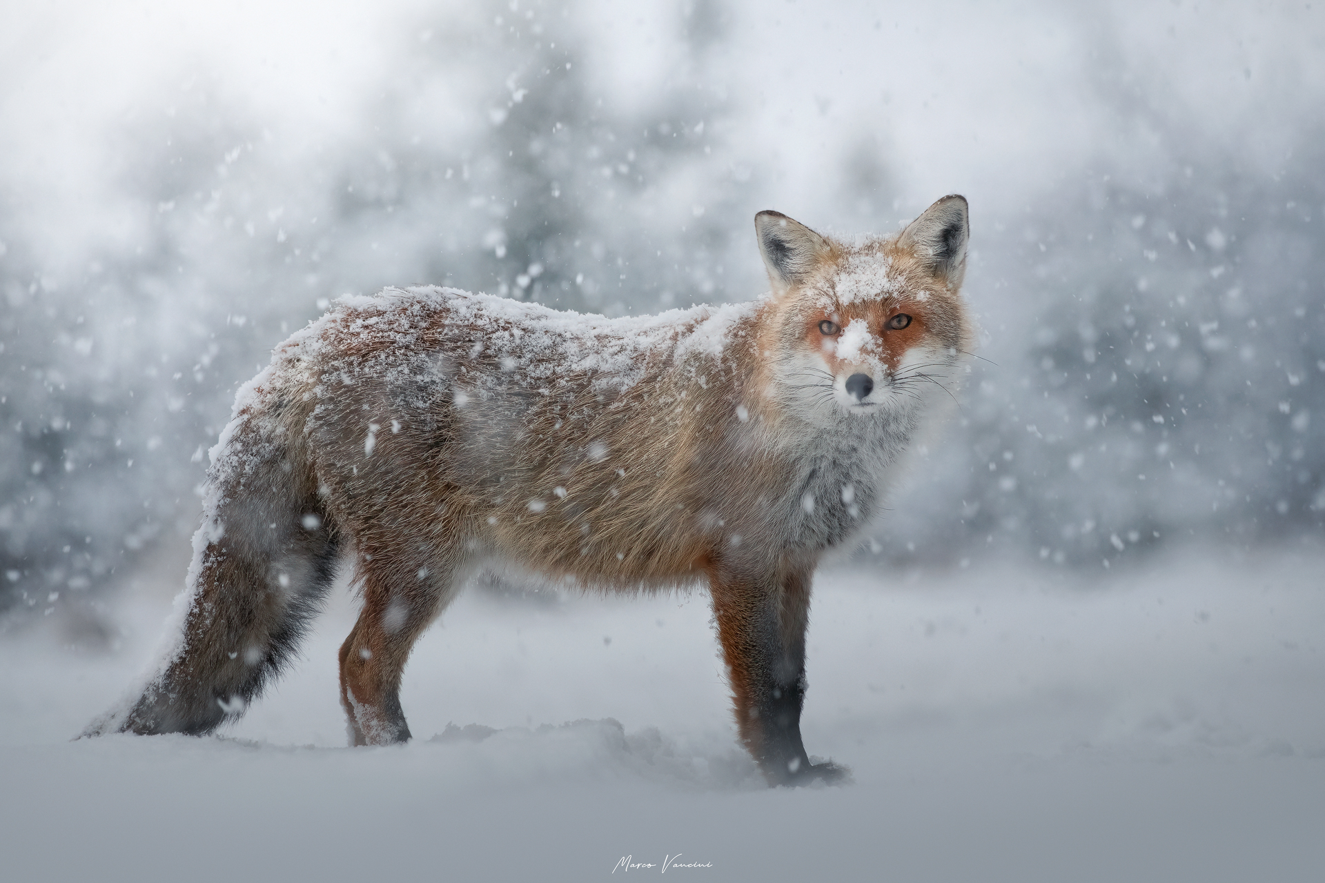 Under the storm