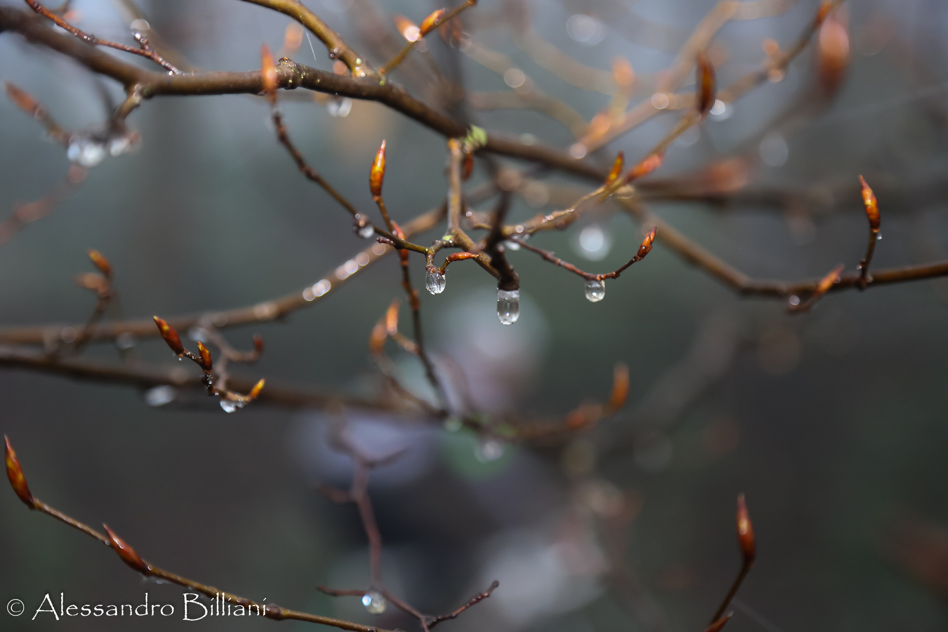Mentre dietro si corre una gara