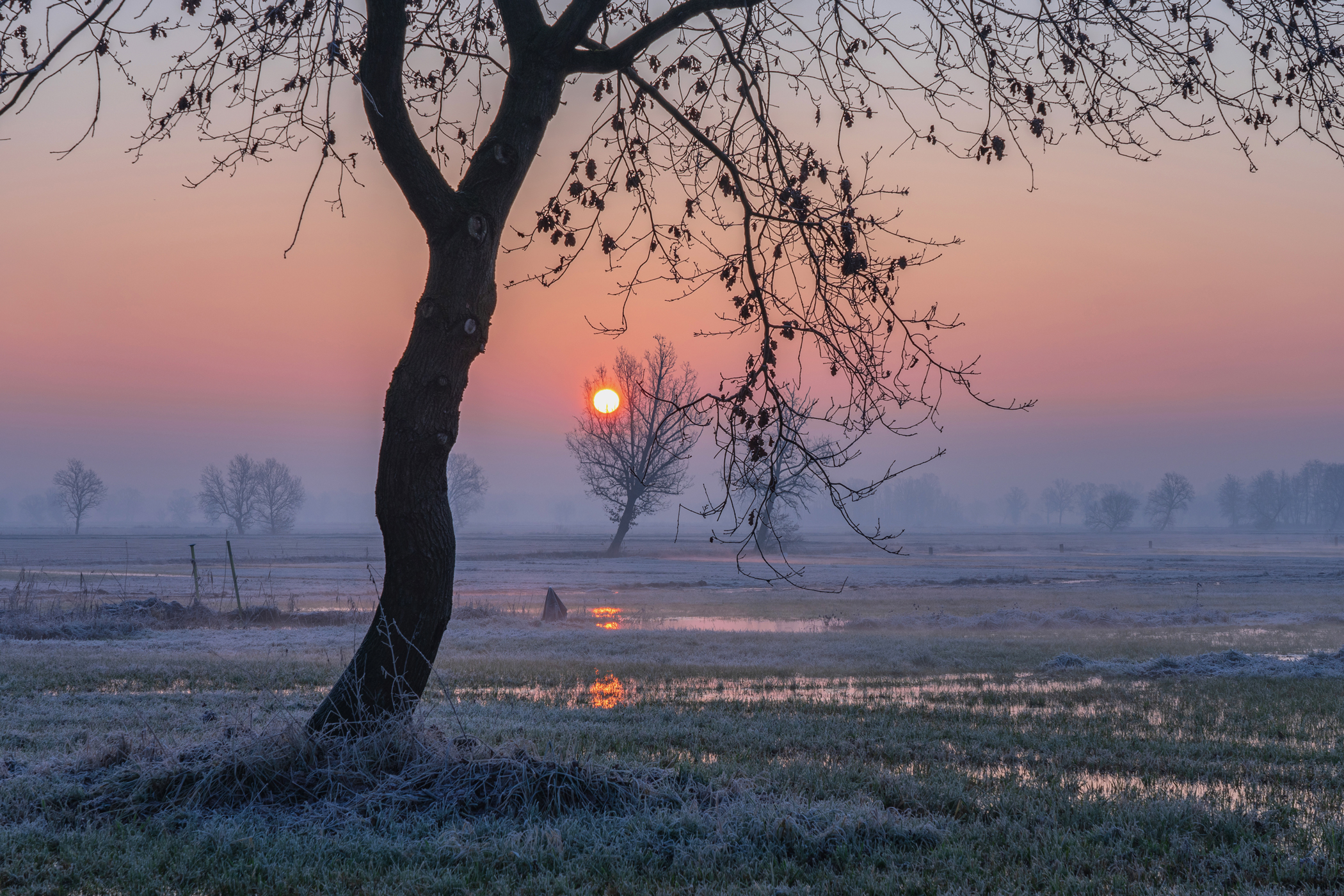 Il silenzio e l'alba