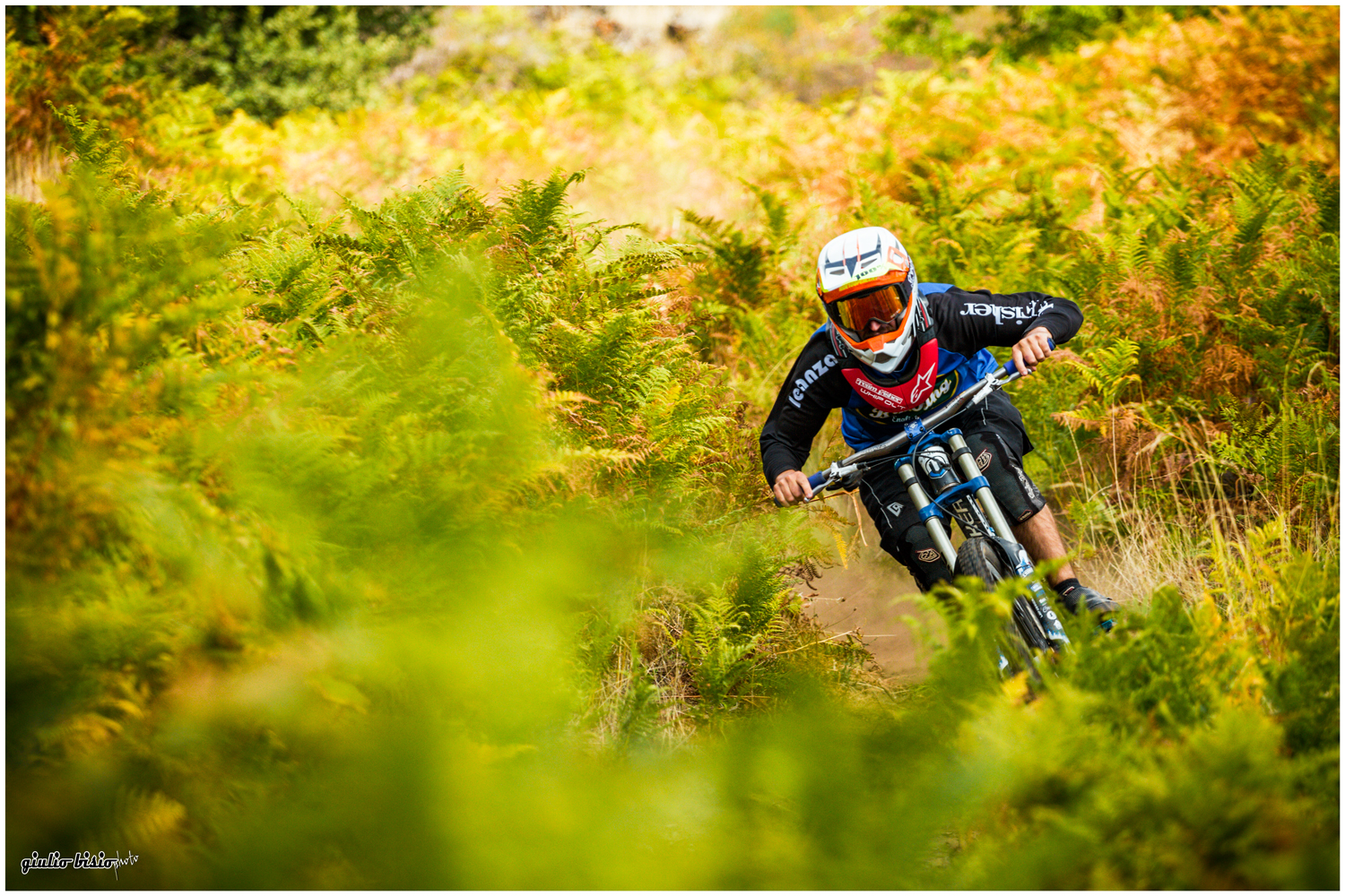 Dh tra le felci dell'etna