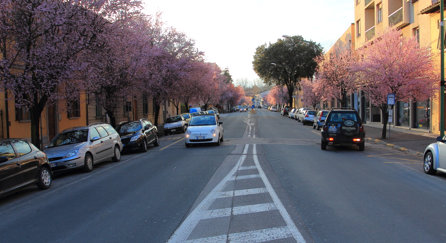 Il viale a primavera
