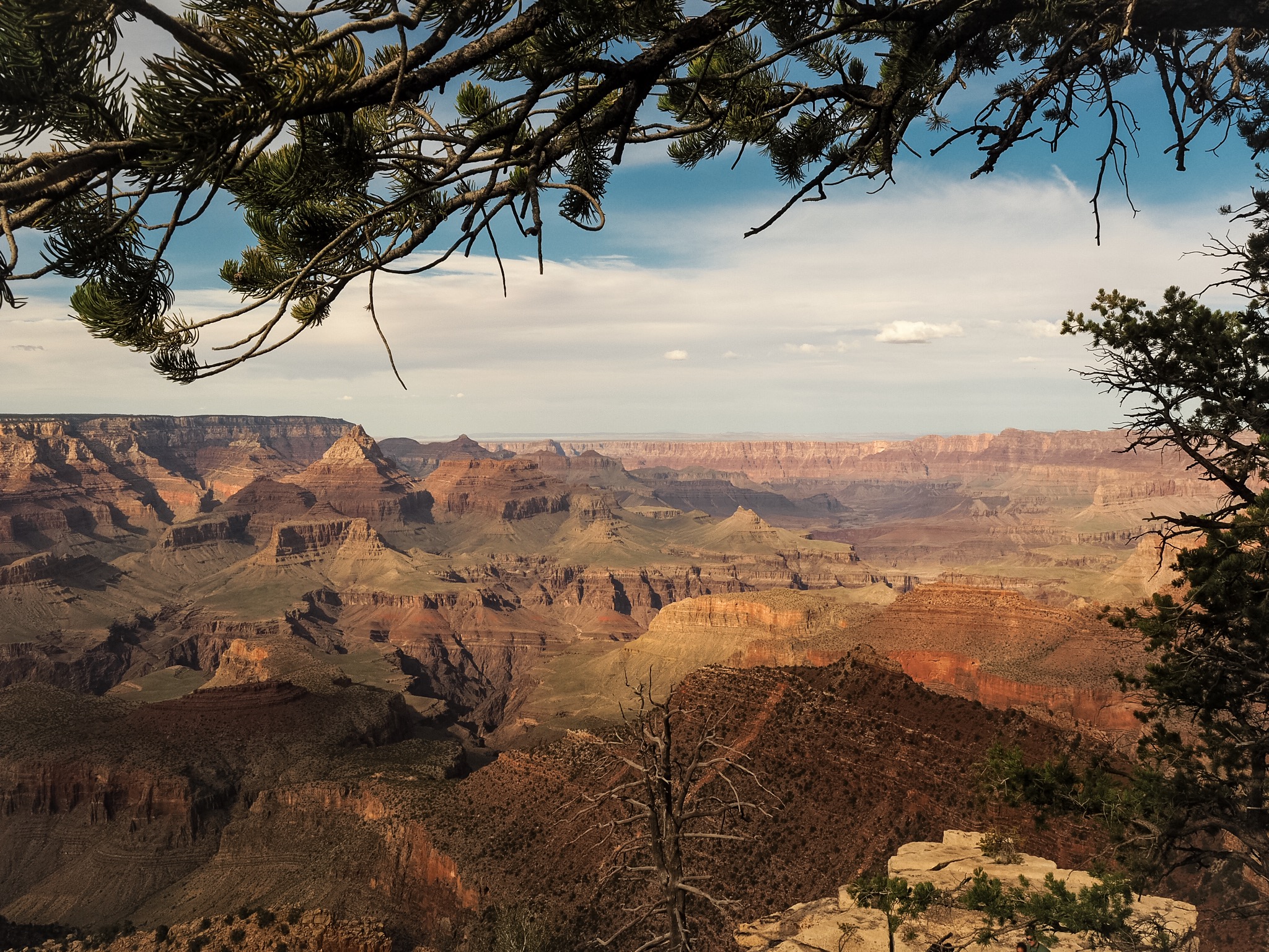 Gran Canyon