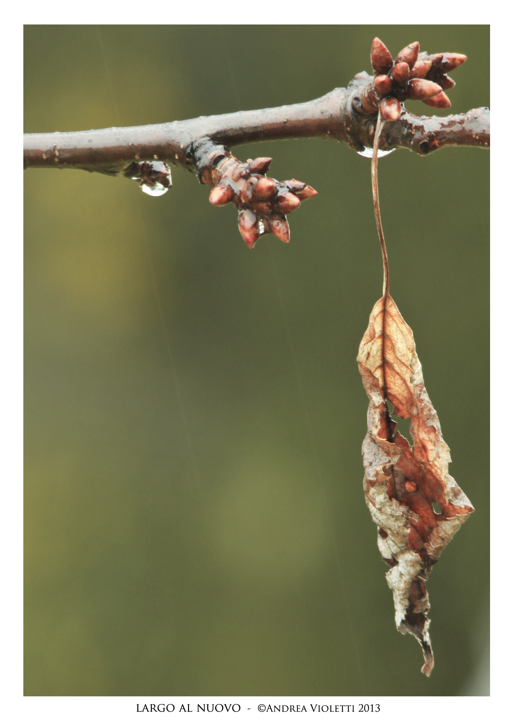 Make way for the new