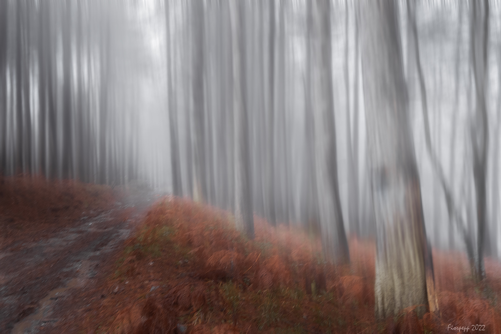 ...la dritta via era smarrita...