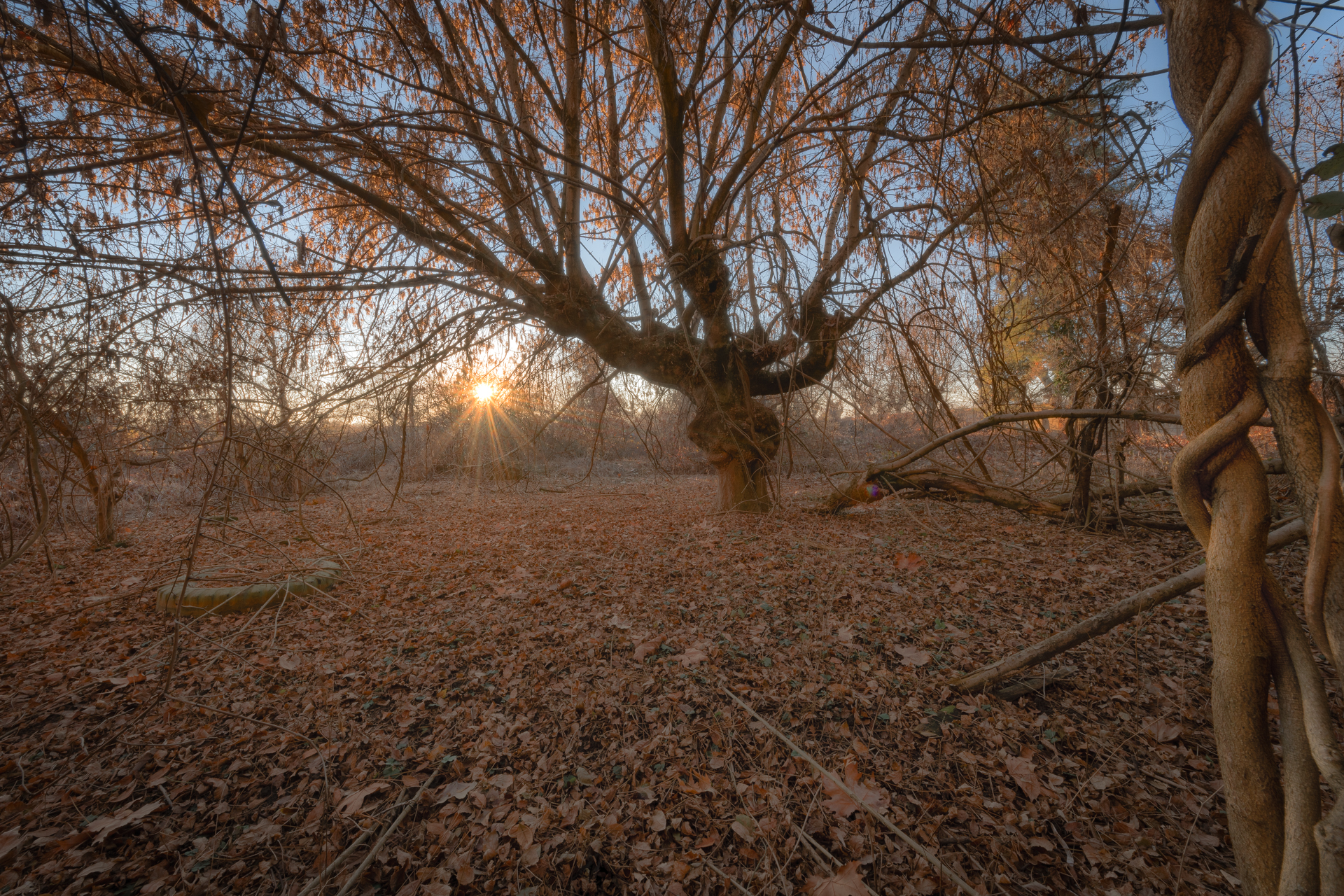 La dolcezza di una carezza