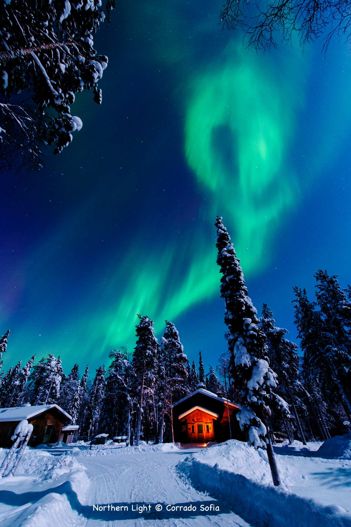 Northern Light