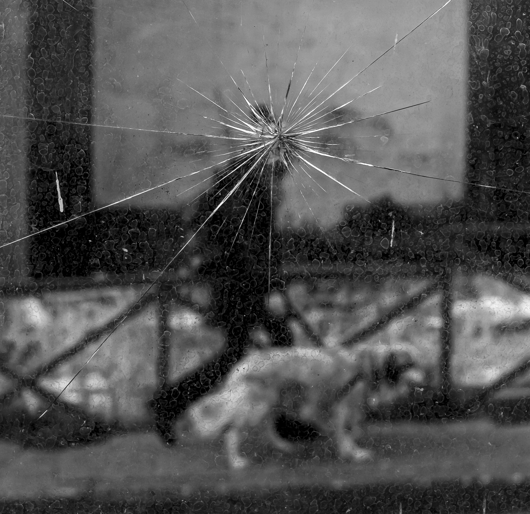 Viterbo, gennaio 2022