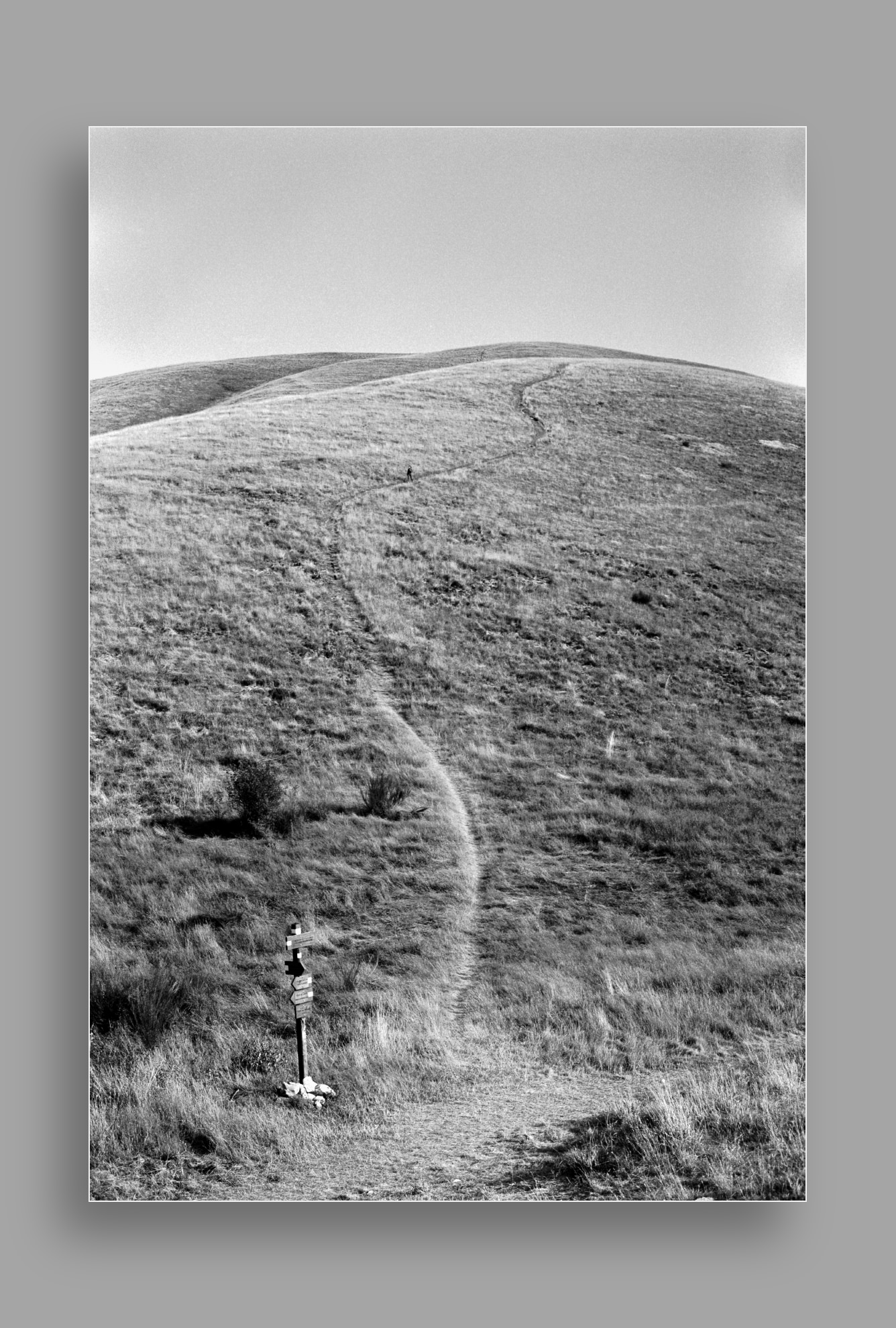 Monte Prato Fiorito (LU)