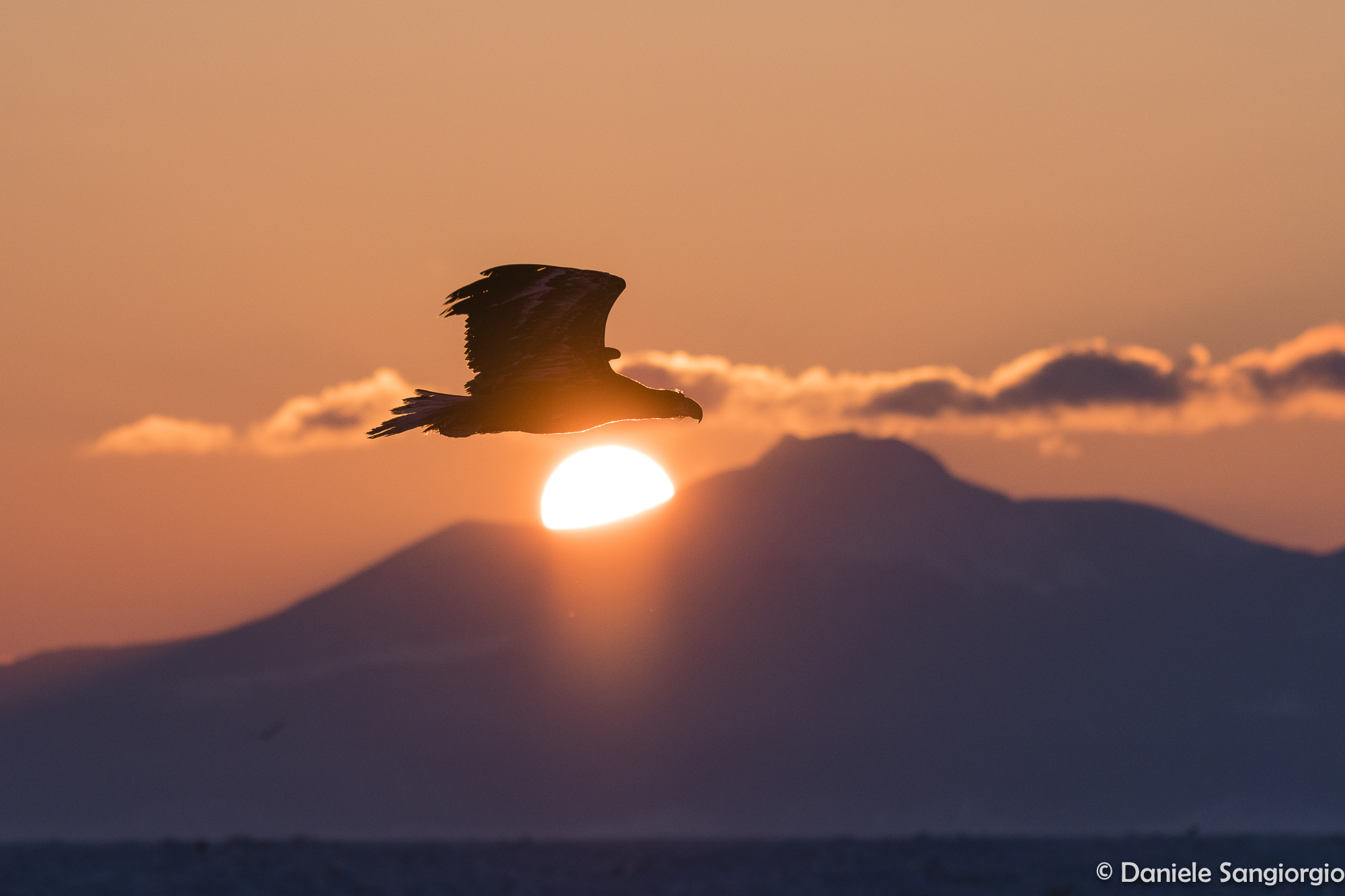 The dawn of the eagle