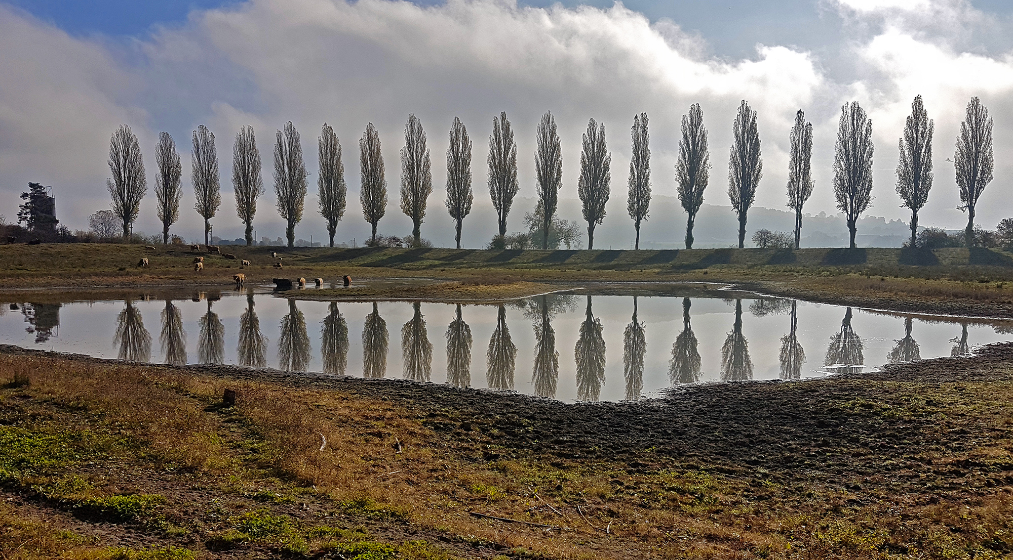 riflessi...