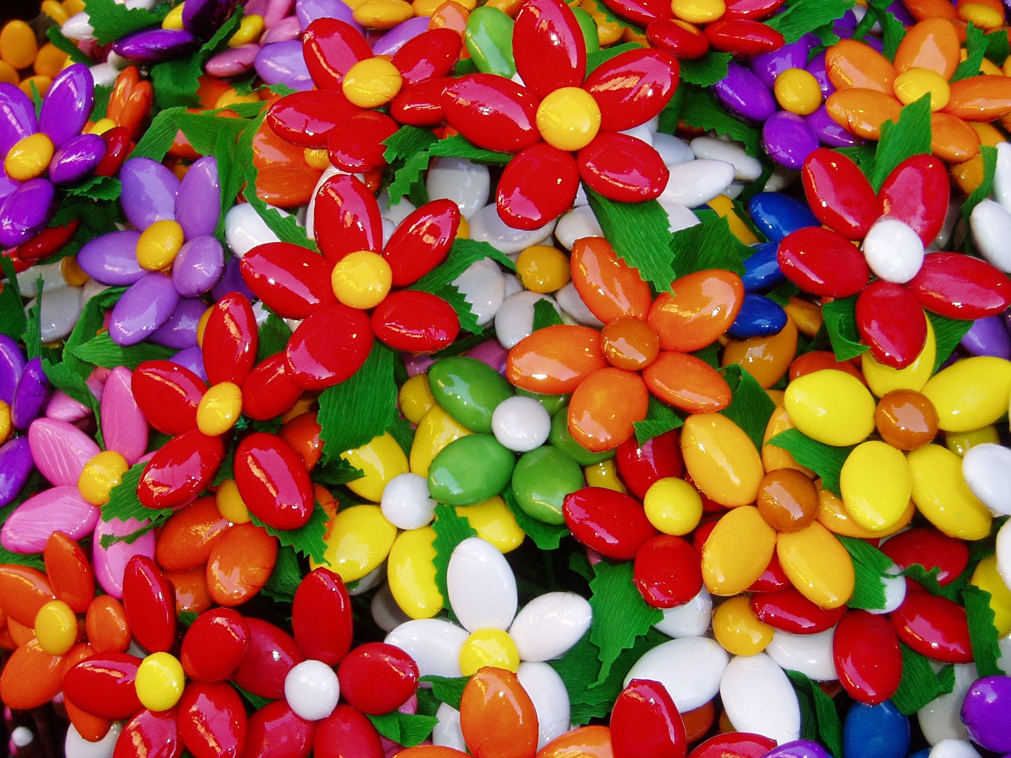 Una dolce fotografia