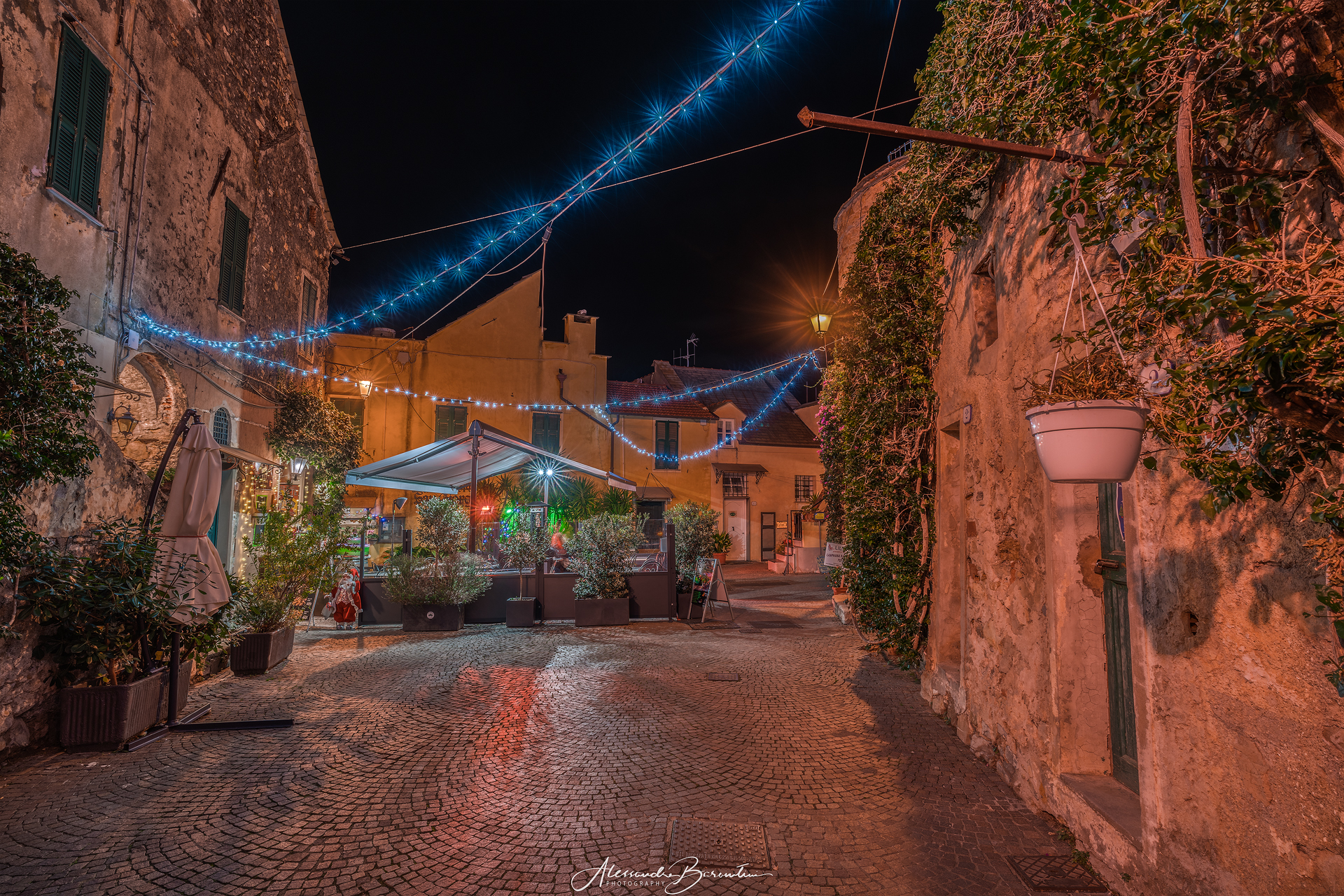 Cervo (im) in veste natalizia