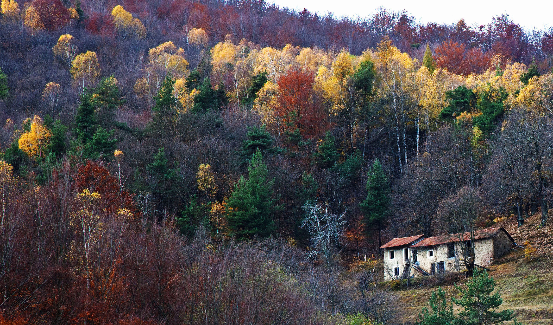 autunno bardineto