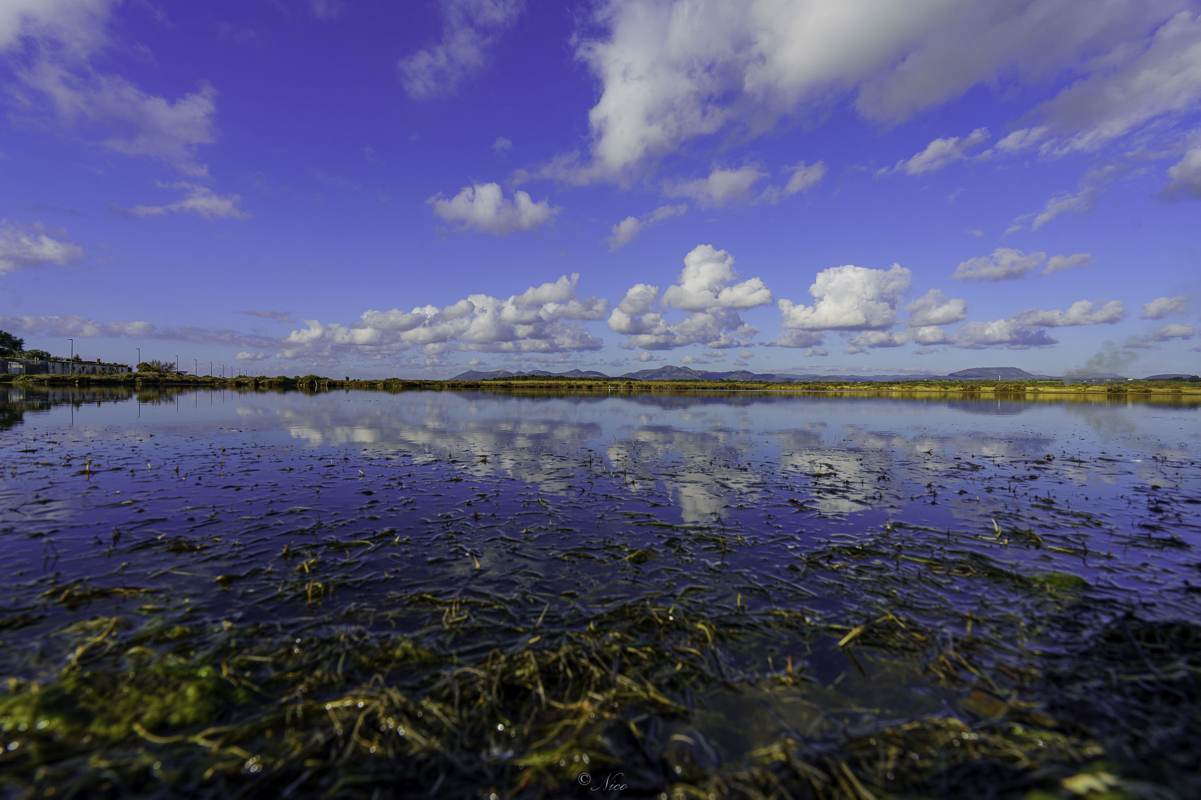 Ciò che ci offre la natura noi possiamo solo ammirarl...