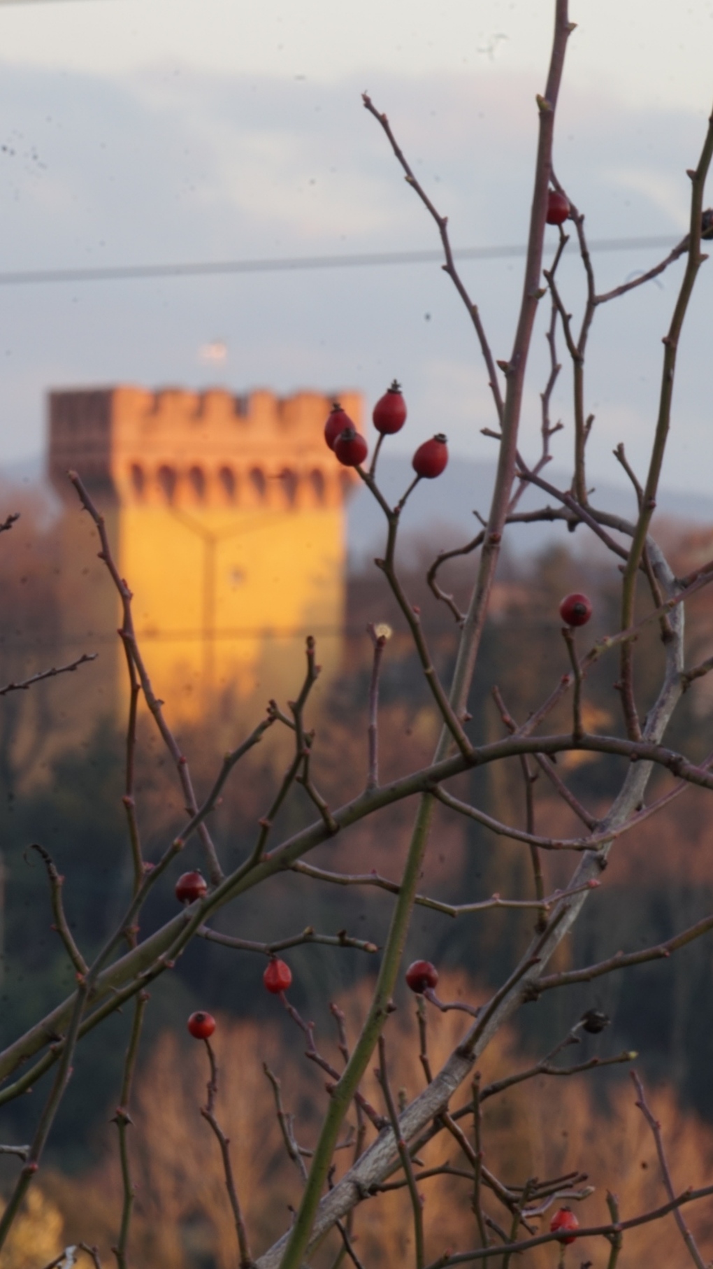 La torre nascosta