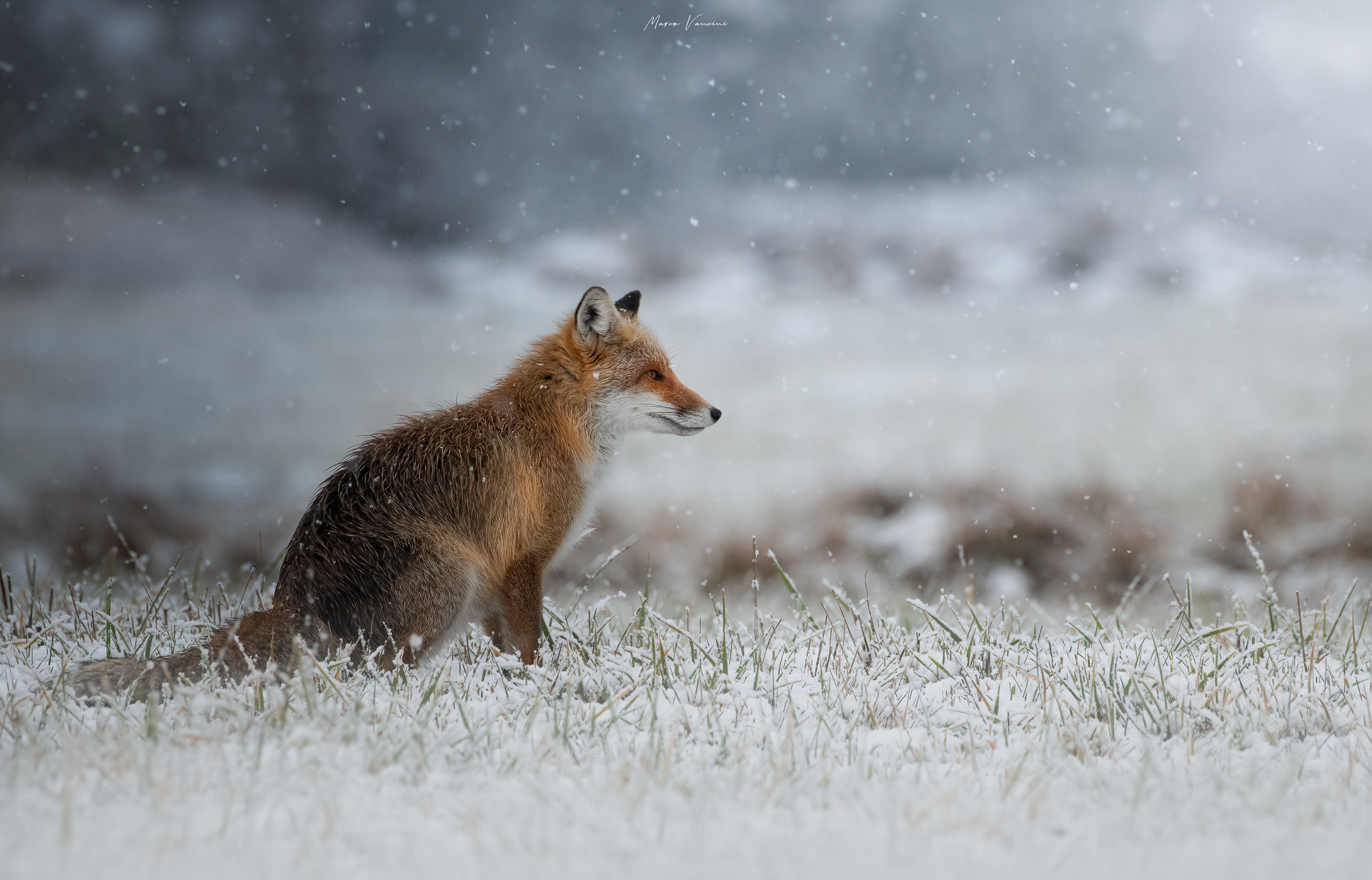 winter atmoshere