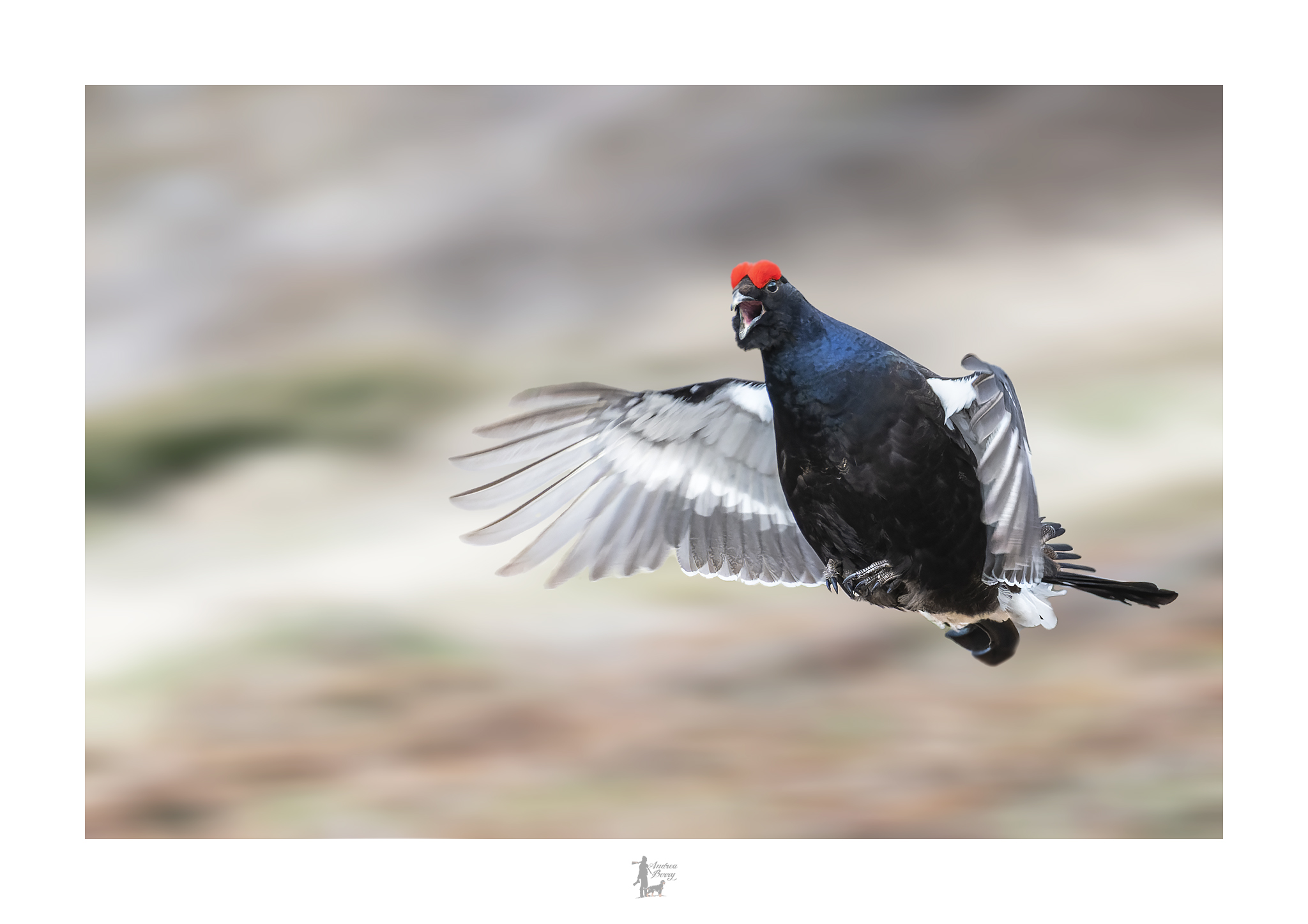 Before touching the ground