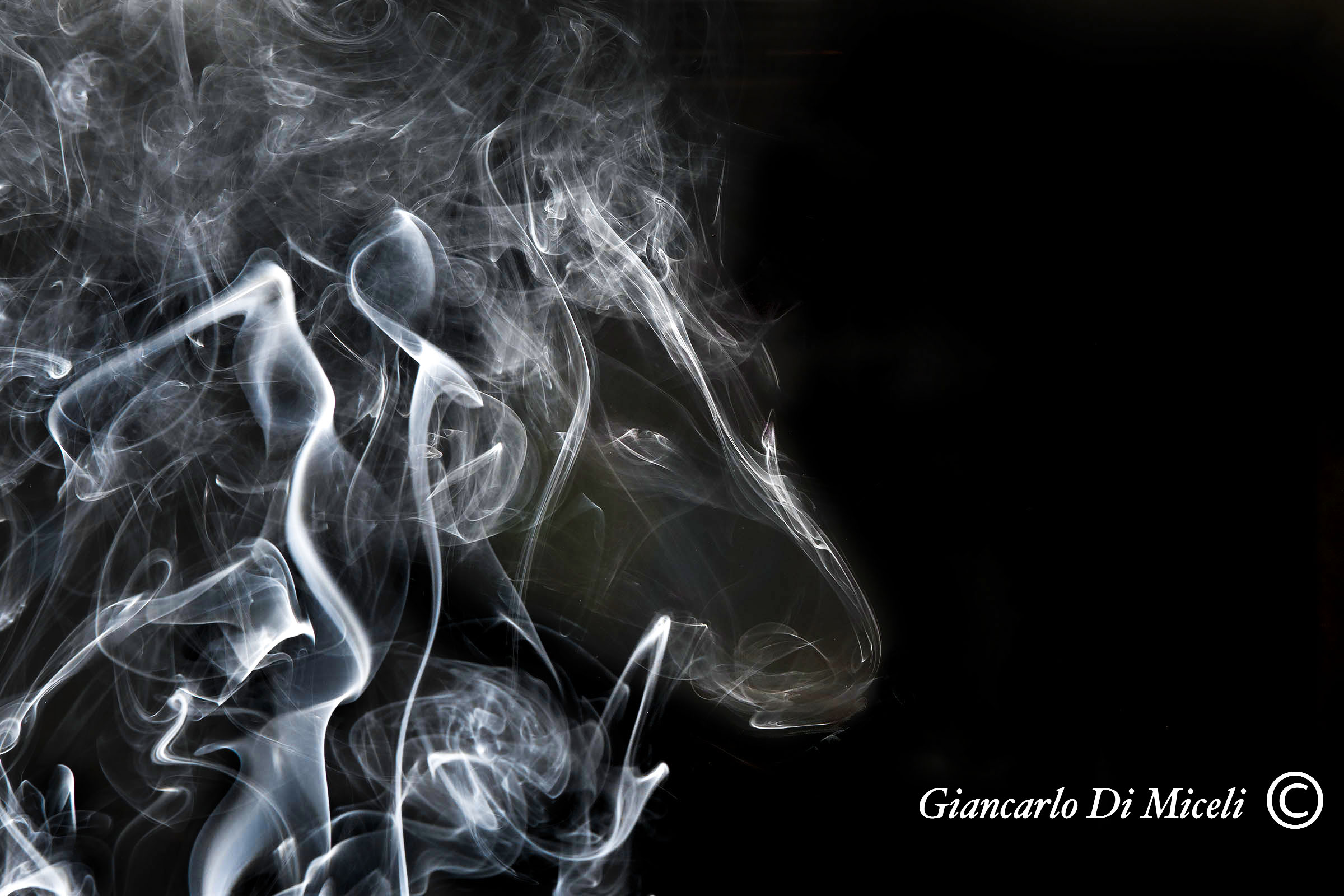 Dark smoking horse