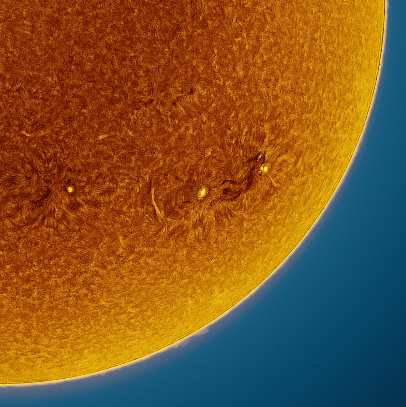 Sun in H-alpha of 12/01/2022 (detail)