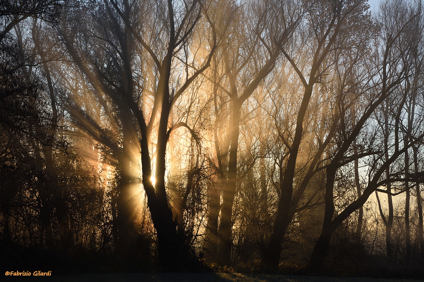 ...all'alba...