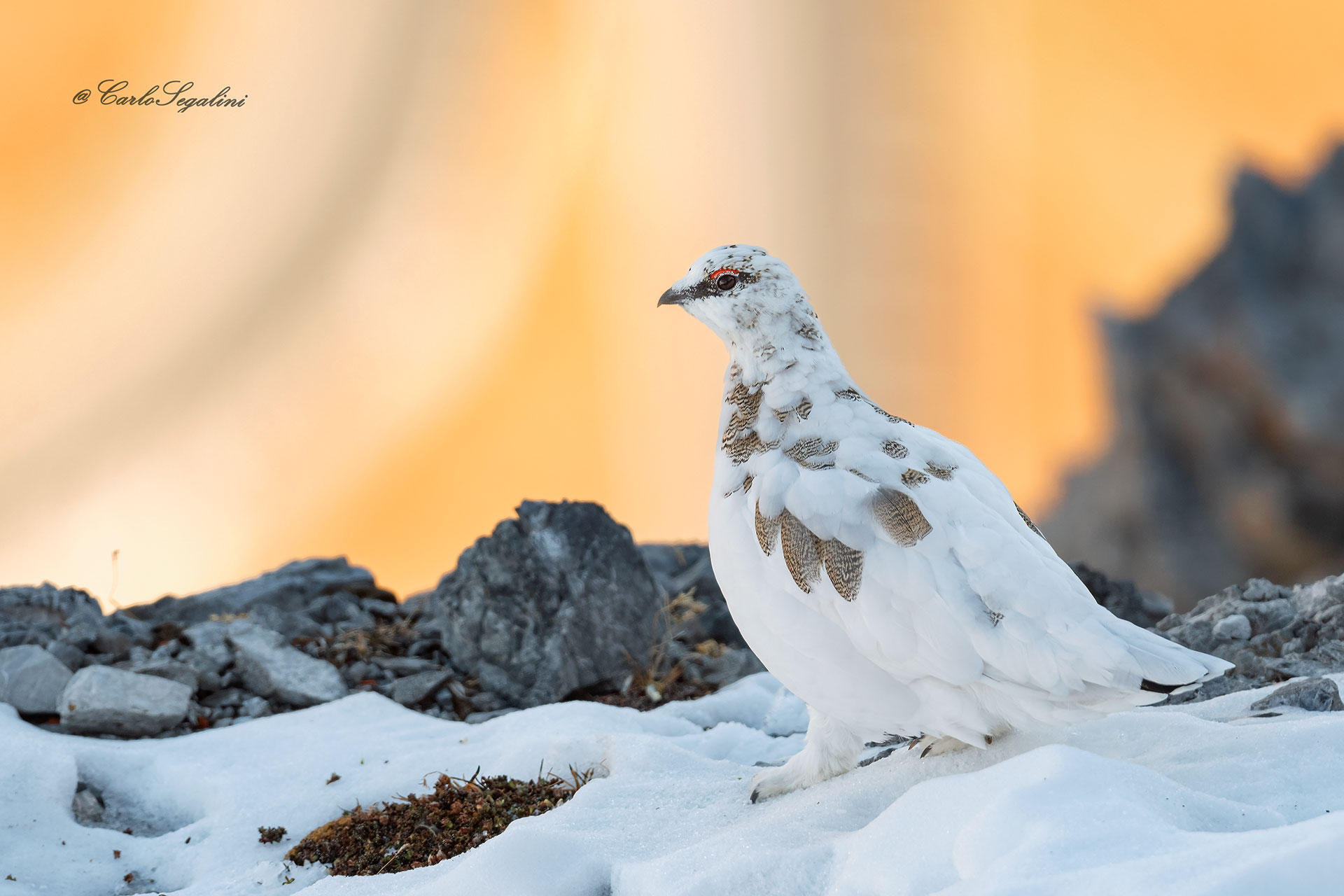 Un po' neve un po' roccia